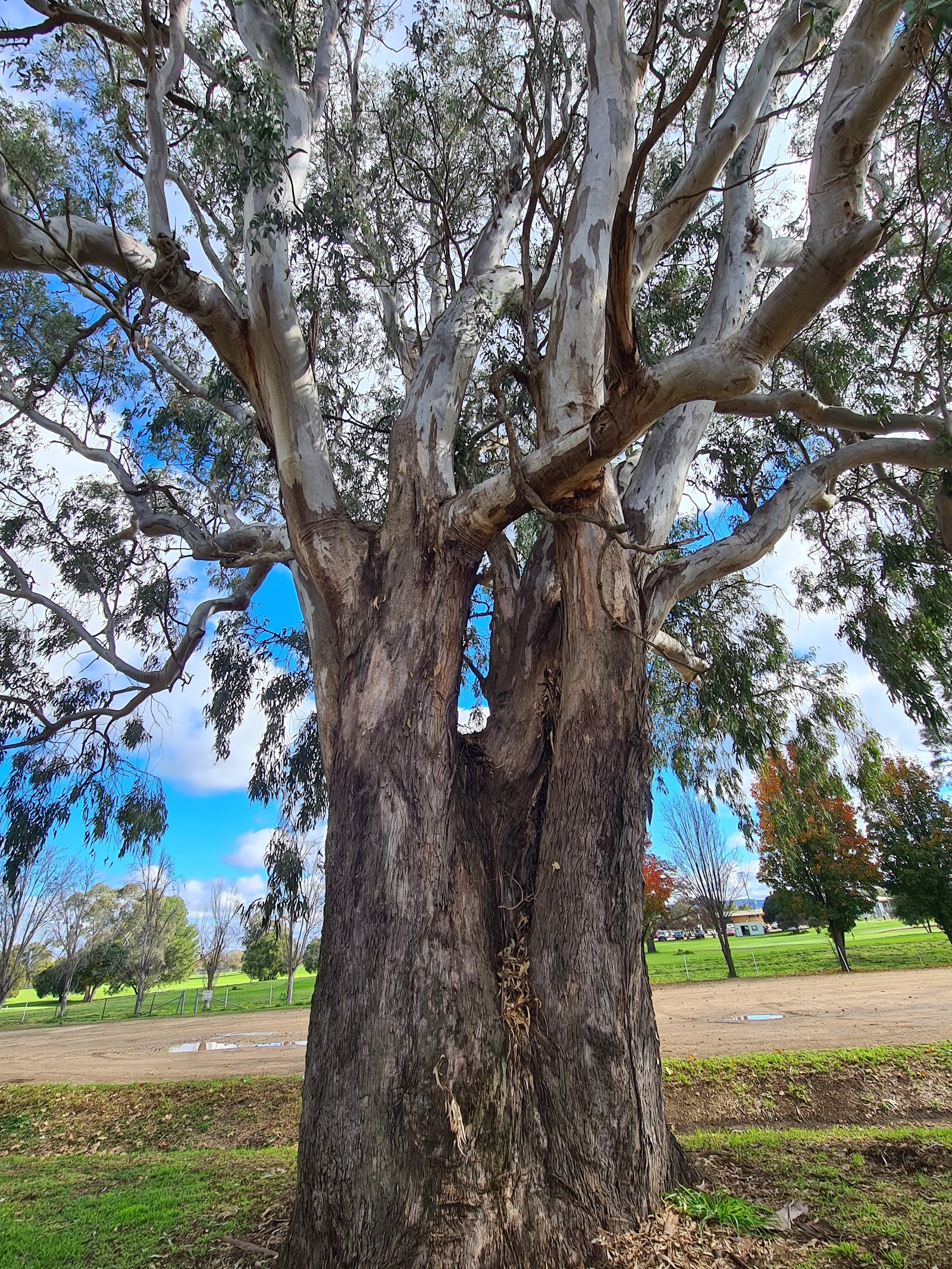Taylor Park 4