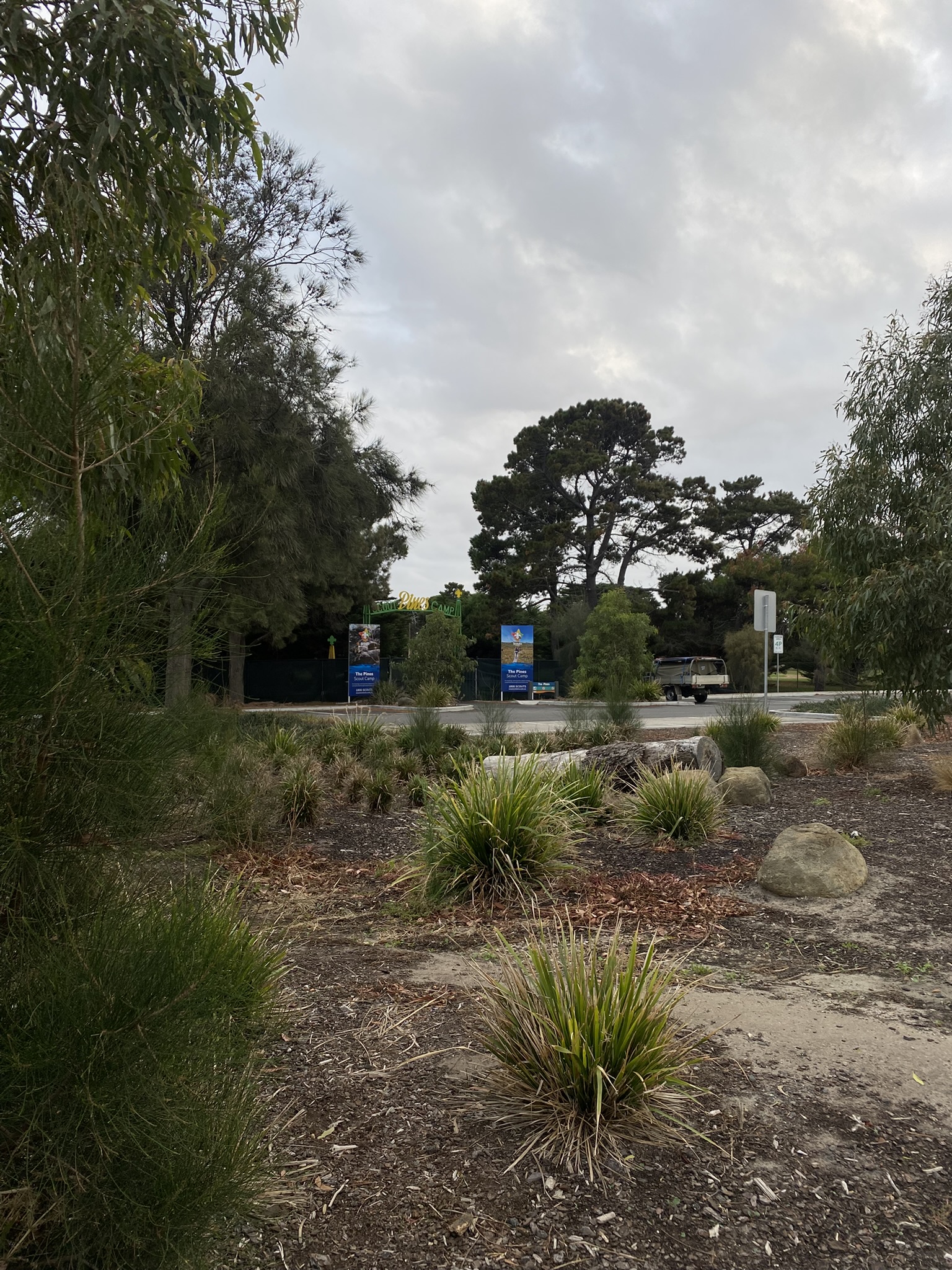 The Pines Scout Camp 4