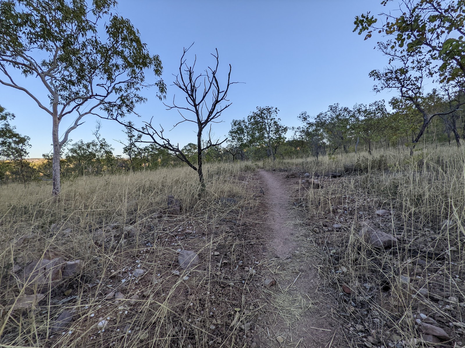 Jatbula Trail 3