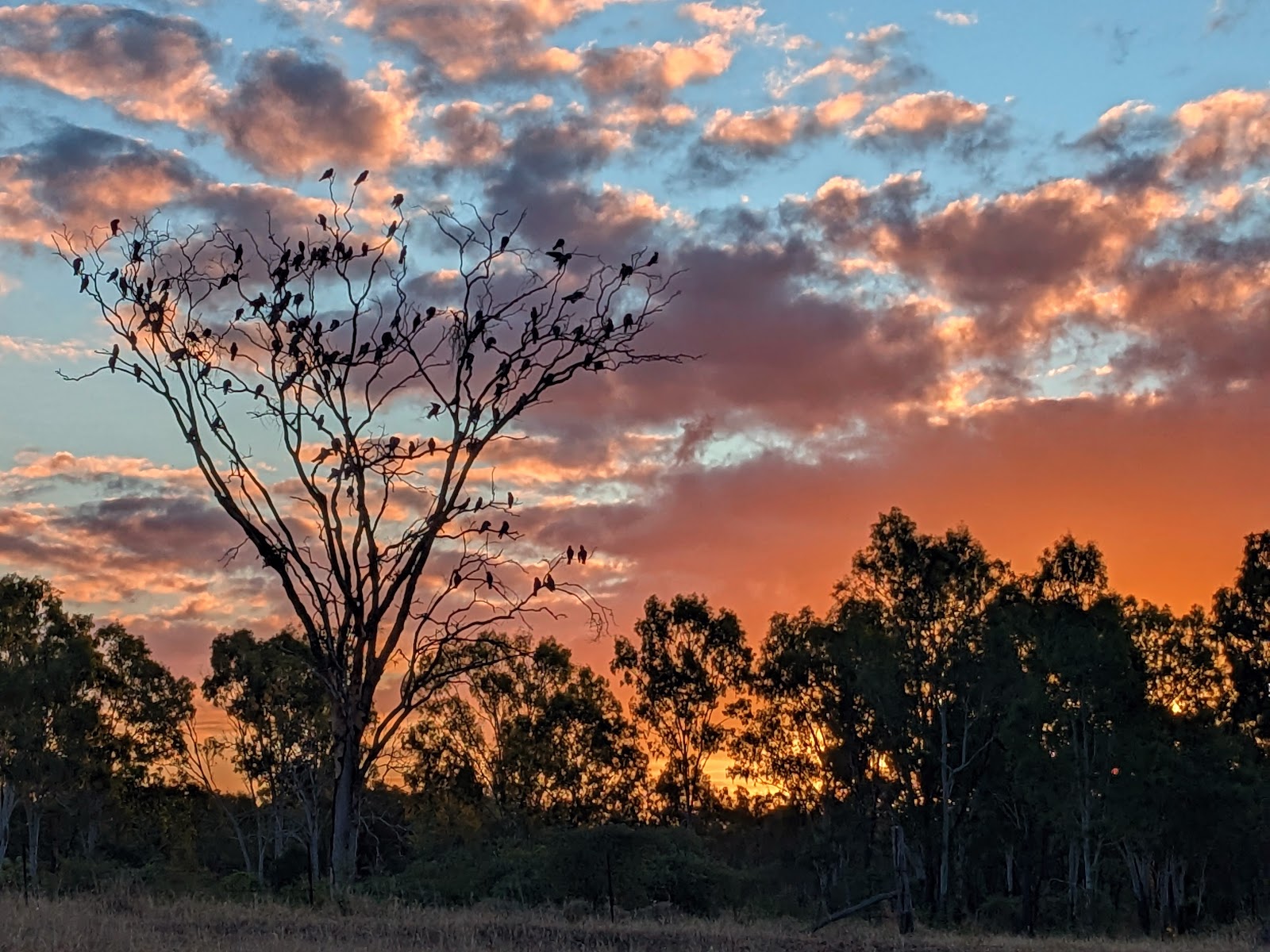 Anabranch Waterhole 4