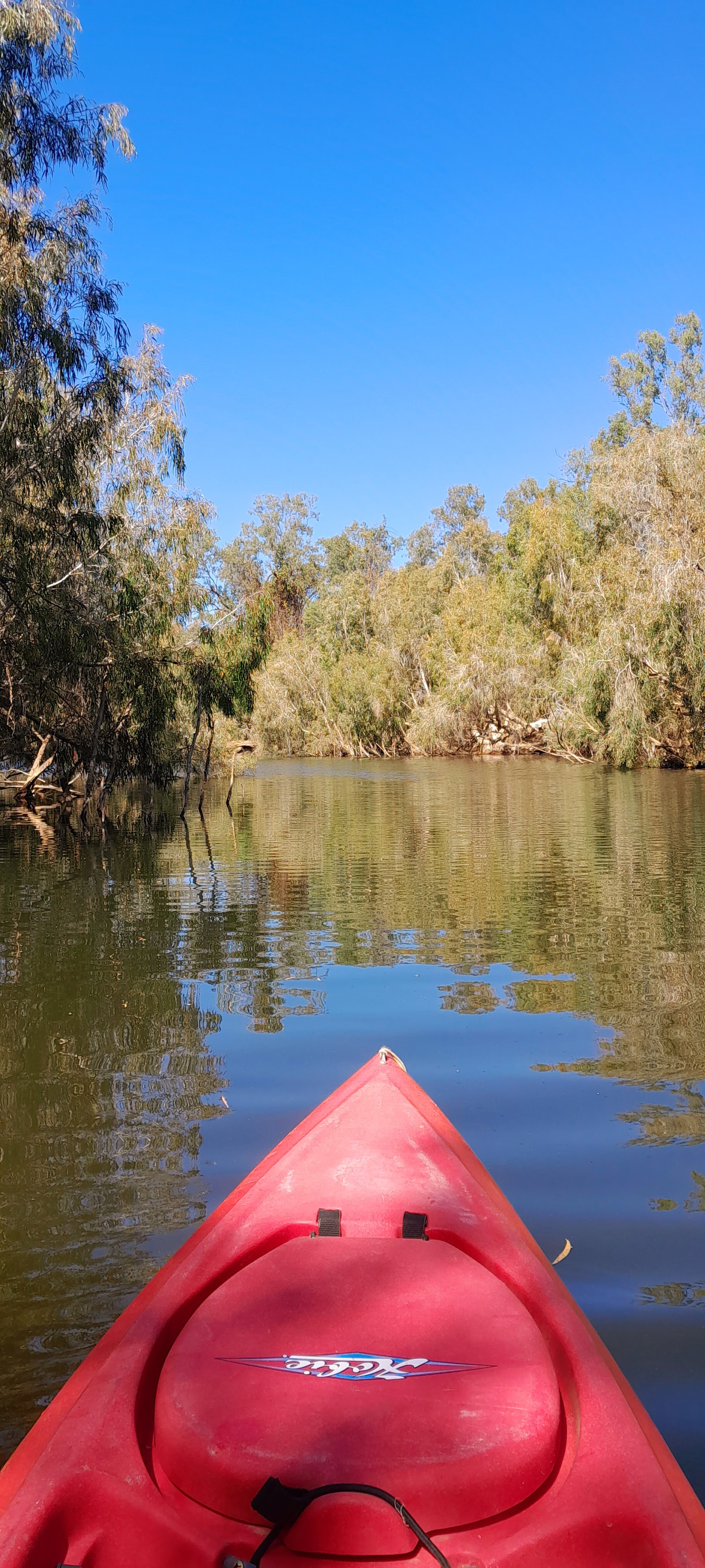 Anabranch Waterhole 5