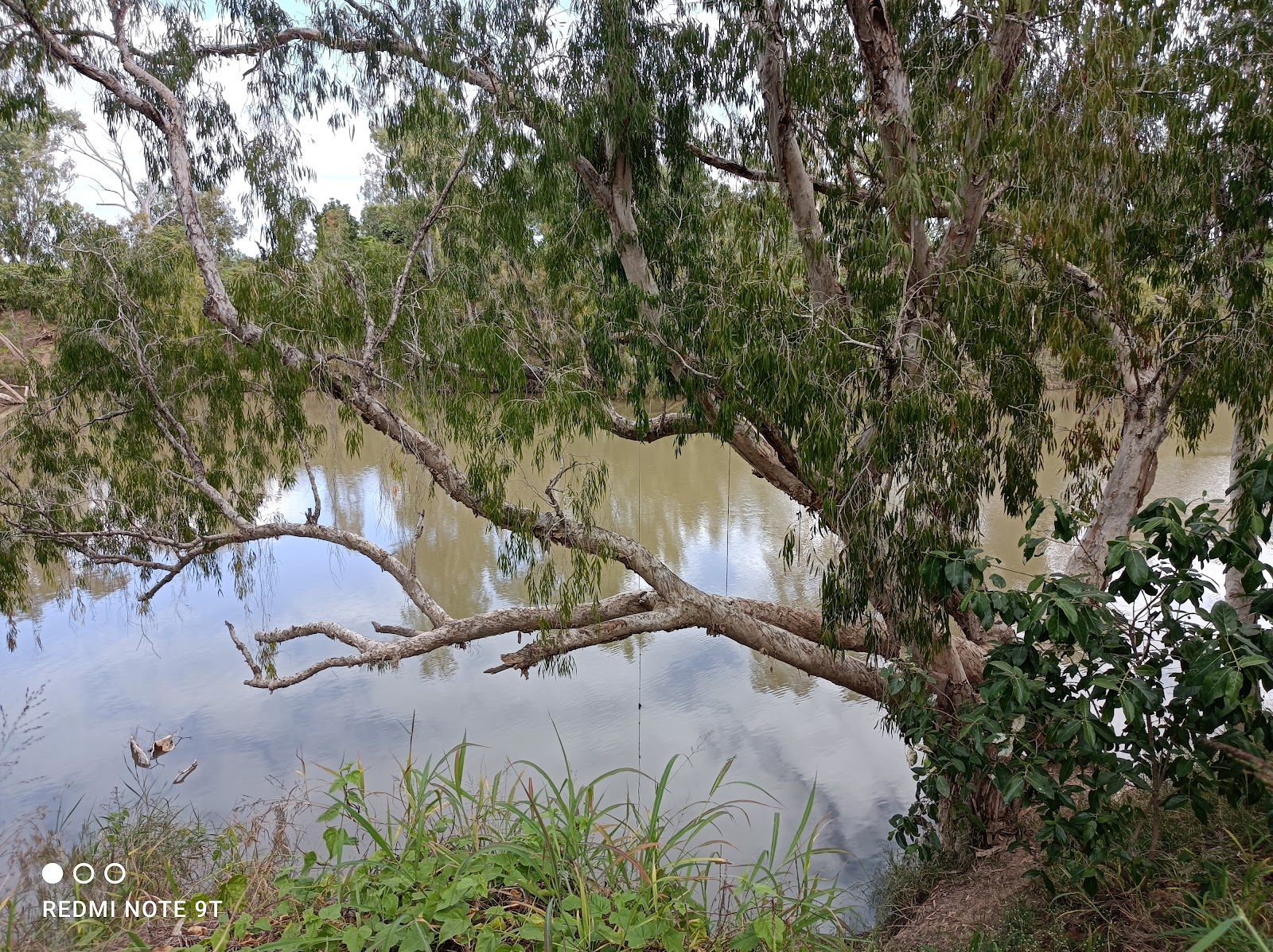 Anabranch Waterhole 6