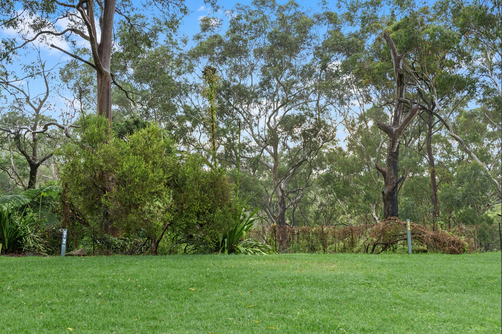 Discovery Parks - Lane Cove 5