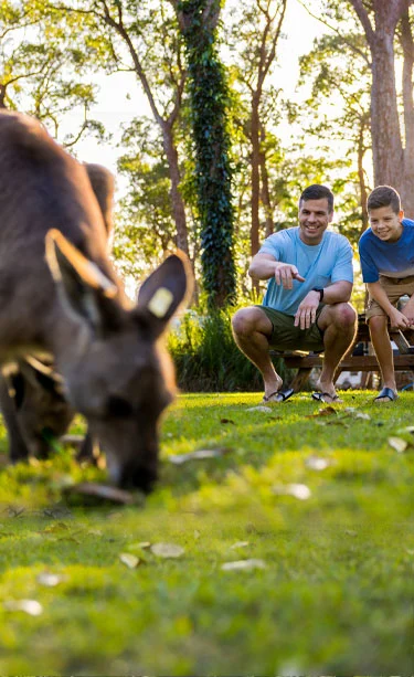 NRMA Darlington Beach Holiday Resort (Coffs Harbour) 2