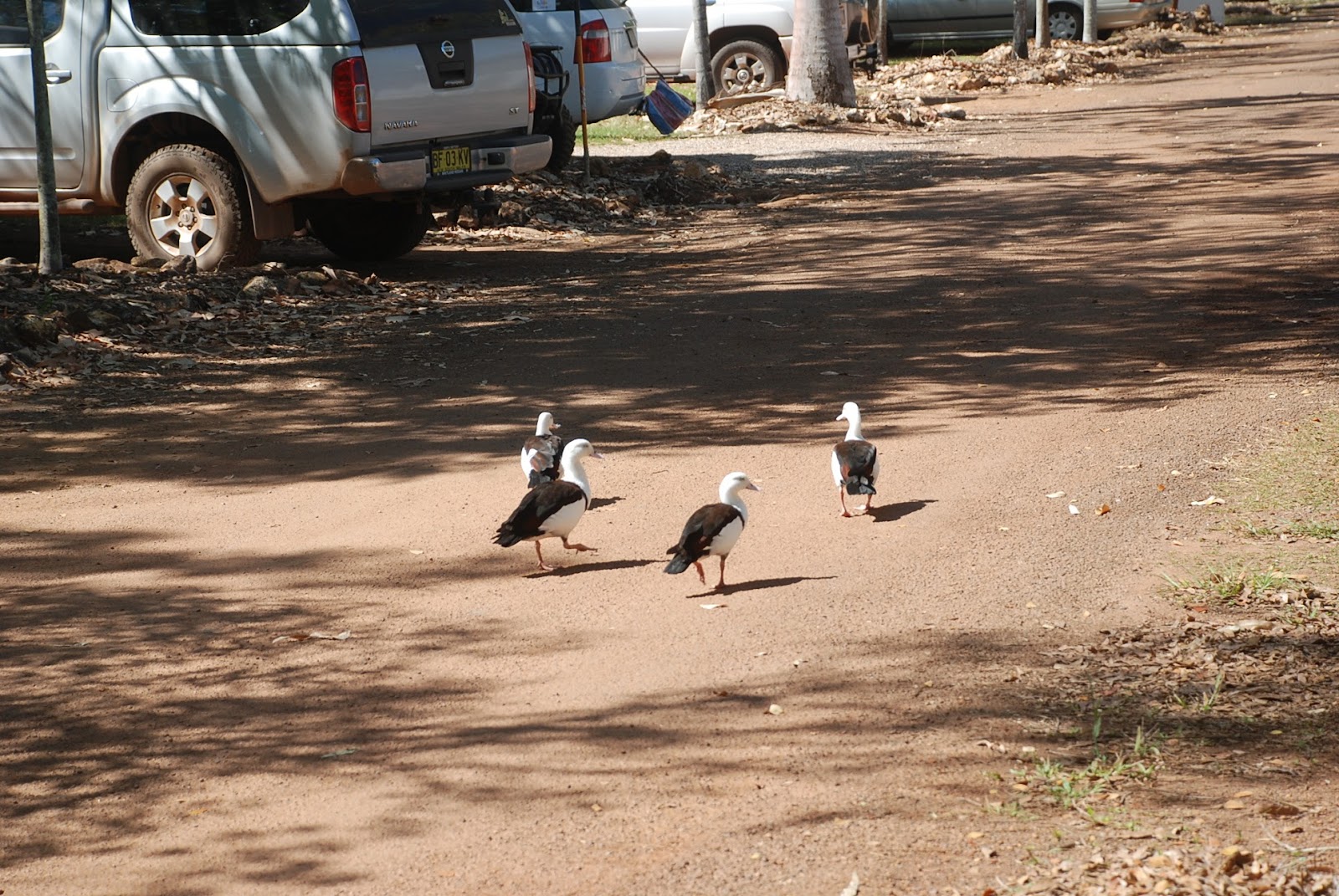 AAOK Lakes Resort & Caravan Park 7