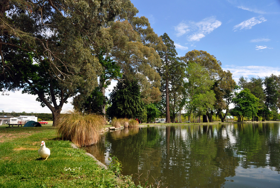 Ashburton Holiday Park & Lodge 6