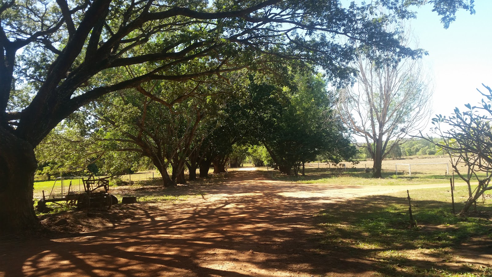 Banyan Farm Tourist Park 10