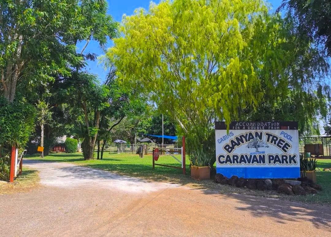 Banyan Tree caravan park resort Litchfield 3