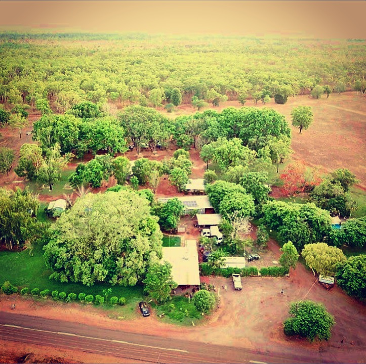 Banyan Tree caravan park resort Litchfield 4
