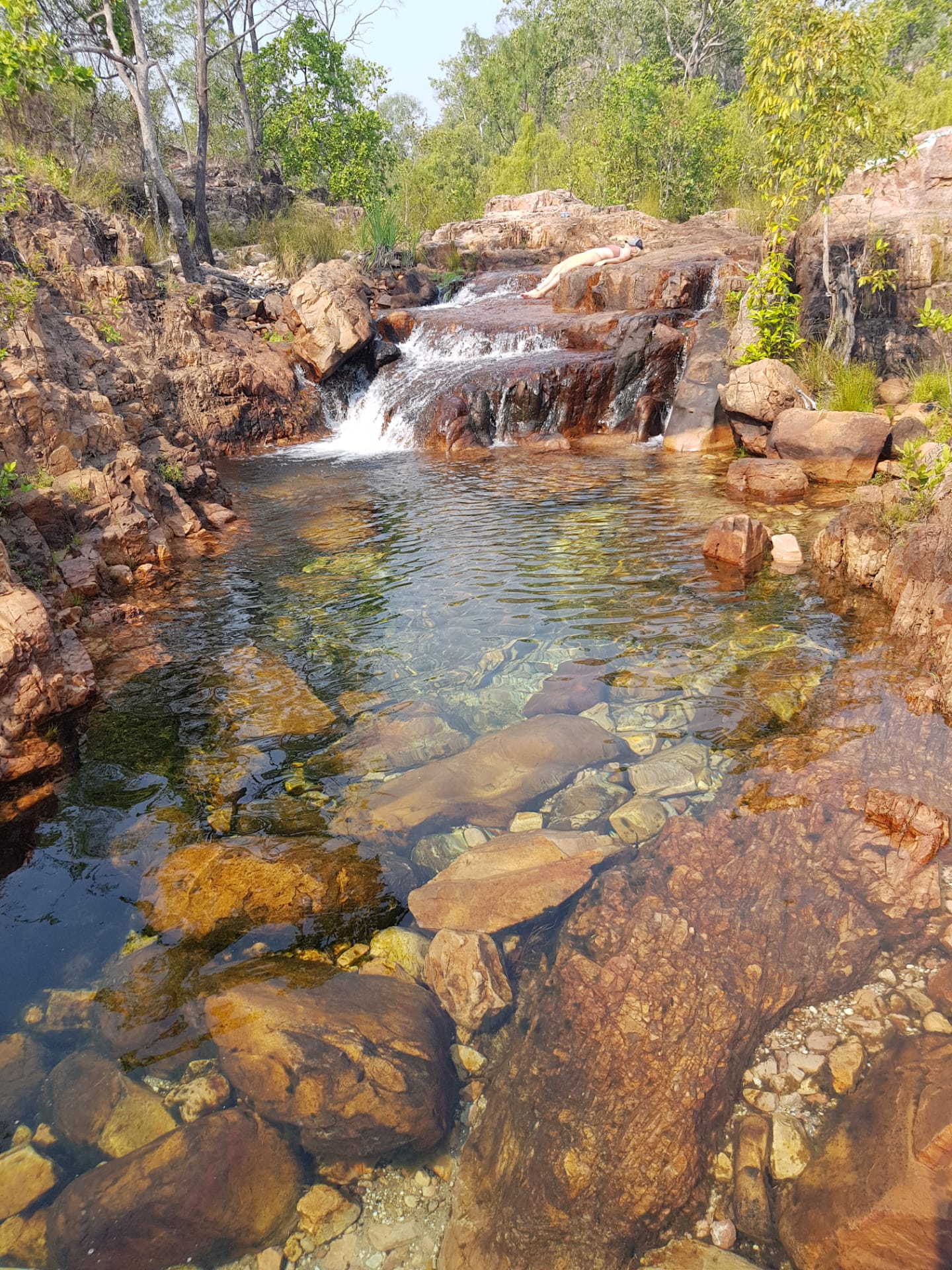 Banyan Tree caravan park resort Litchfield 9