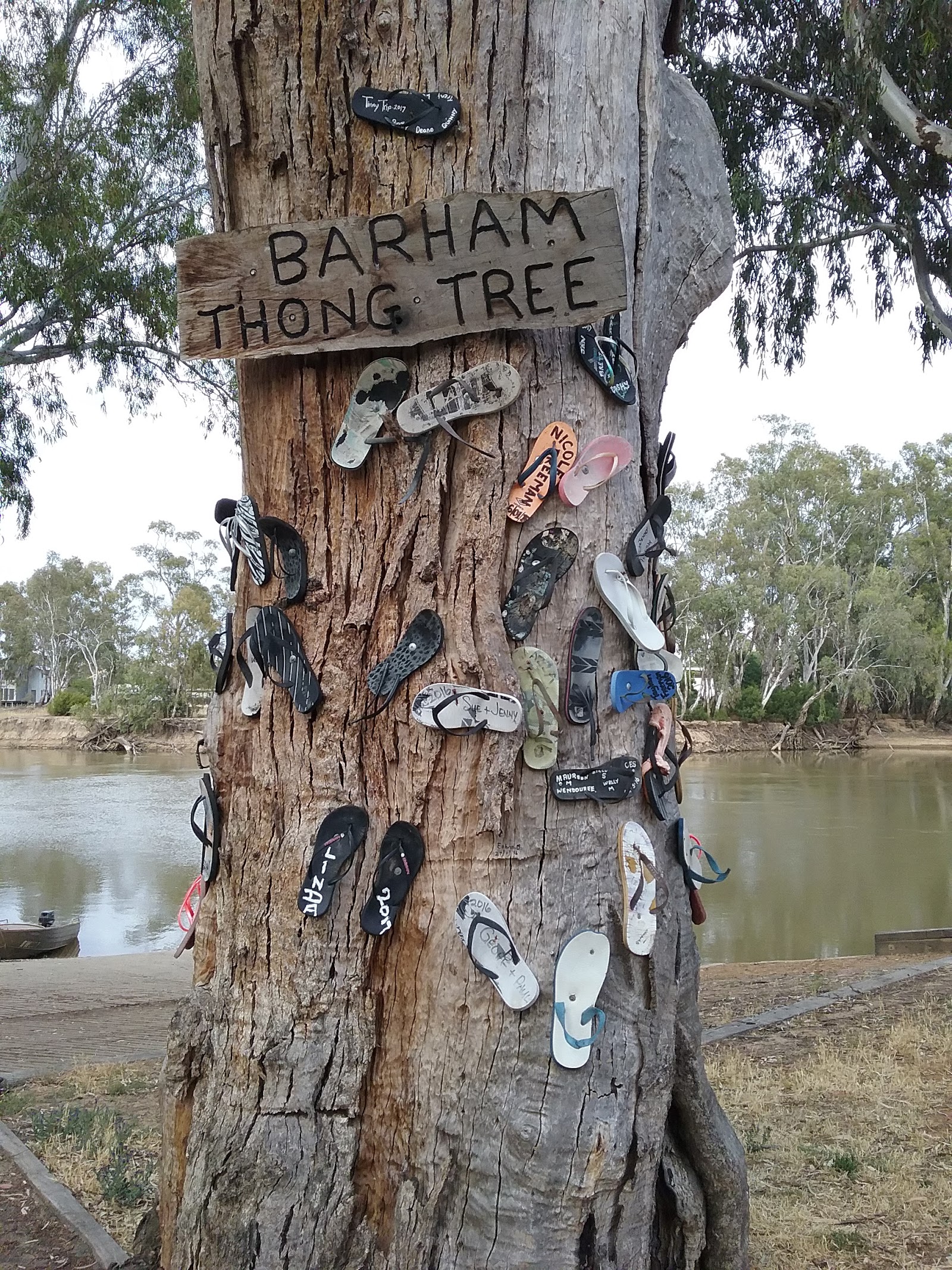 Barham Riverside Caravan Park 5