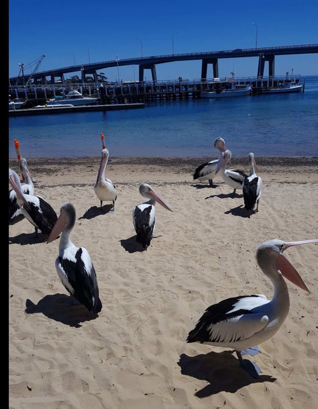 Beach Haven San Remo 2