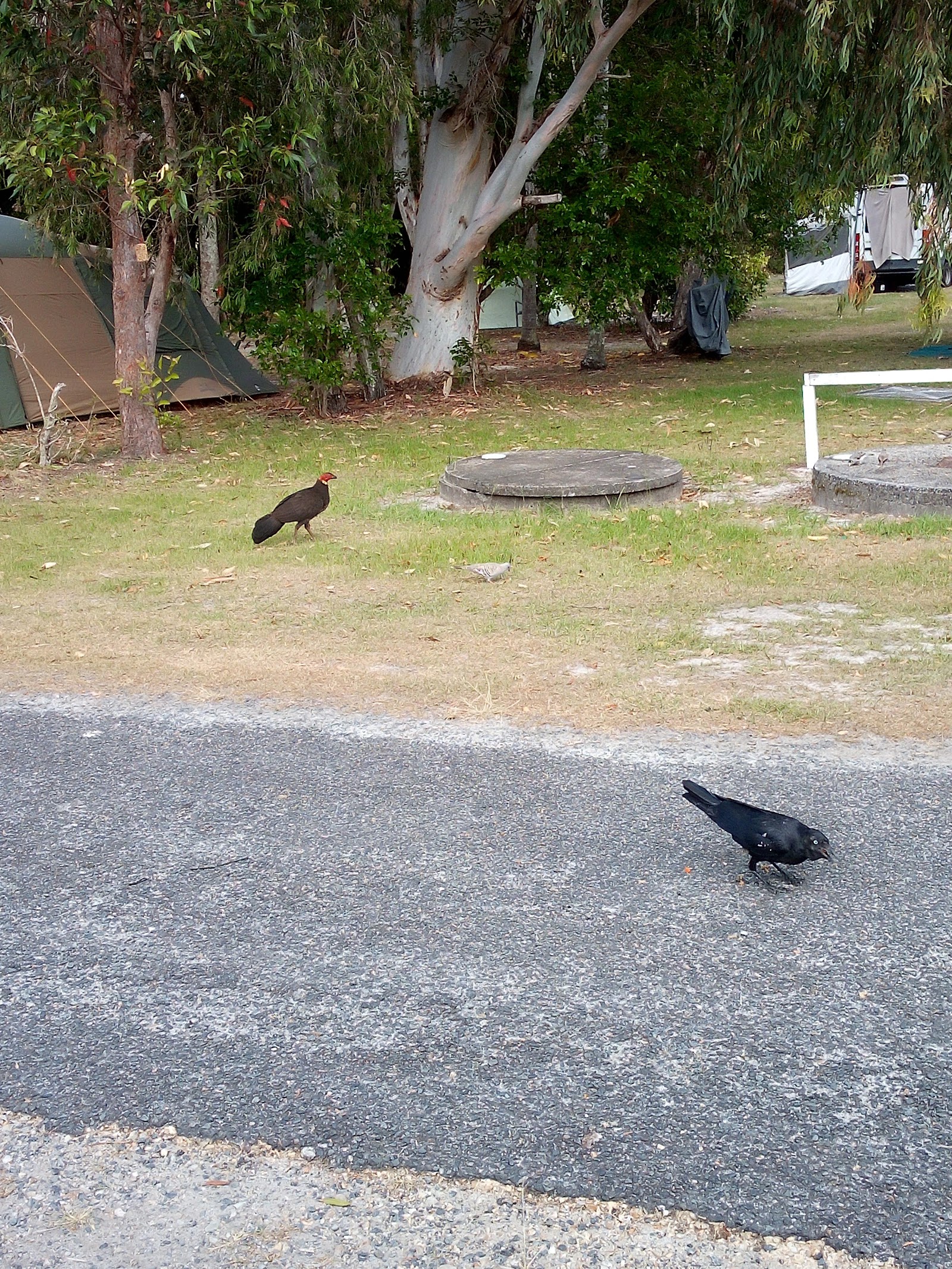 Belongil Fields Conference & Holiday Centre 9