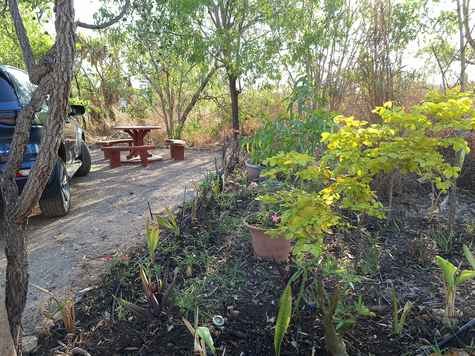 Berry Springs Park and Stay 3