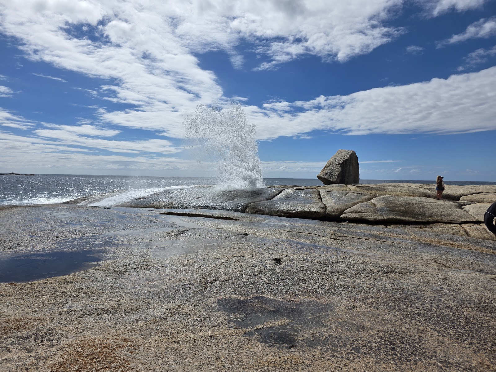Bicheno East Coast Holiday Park 8