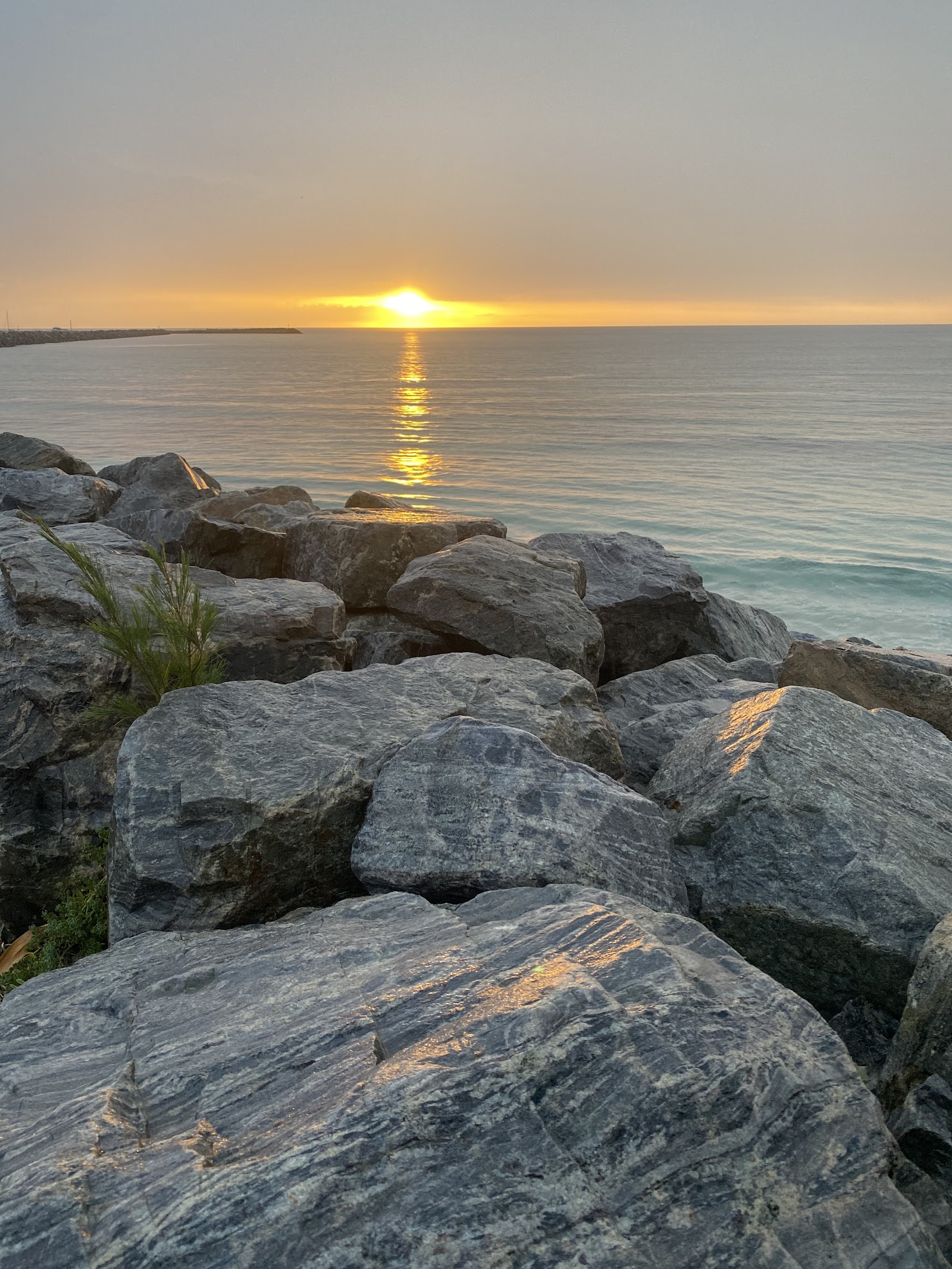 BIG4 Dongara Denison Beach Holiday Park 9