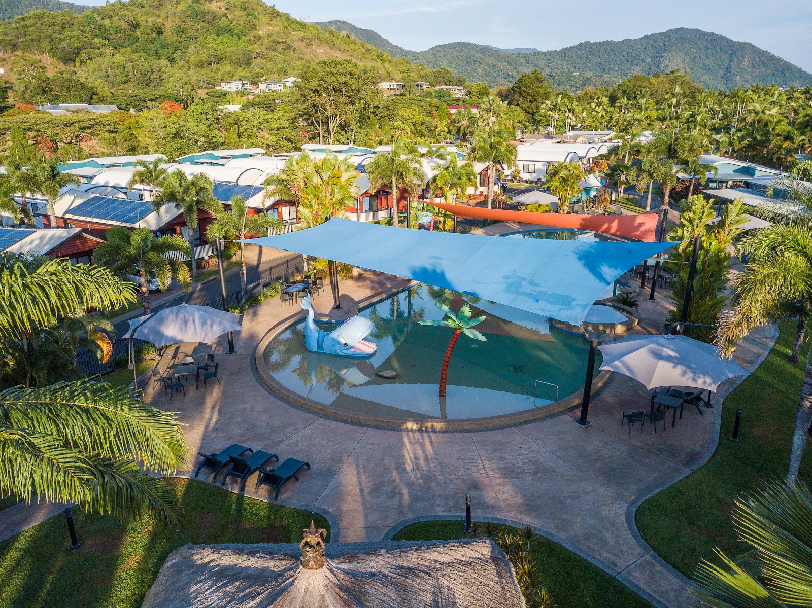 BIG4 Ingenia Holidays Cairns Coconut 3