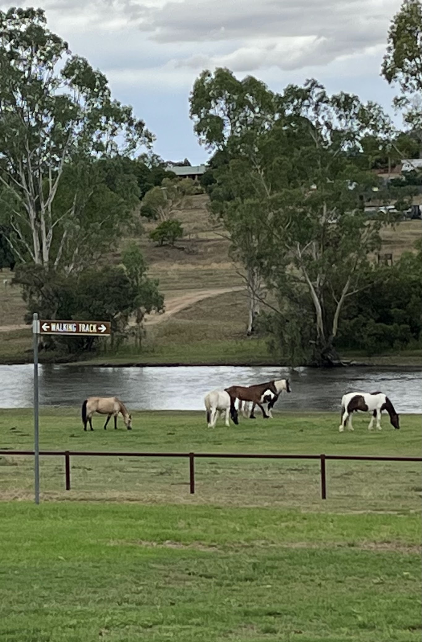 Bingara Saleyards Dump Point 3