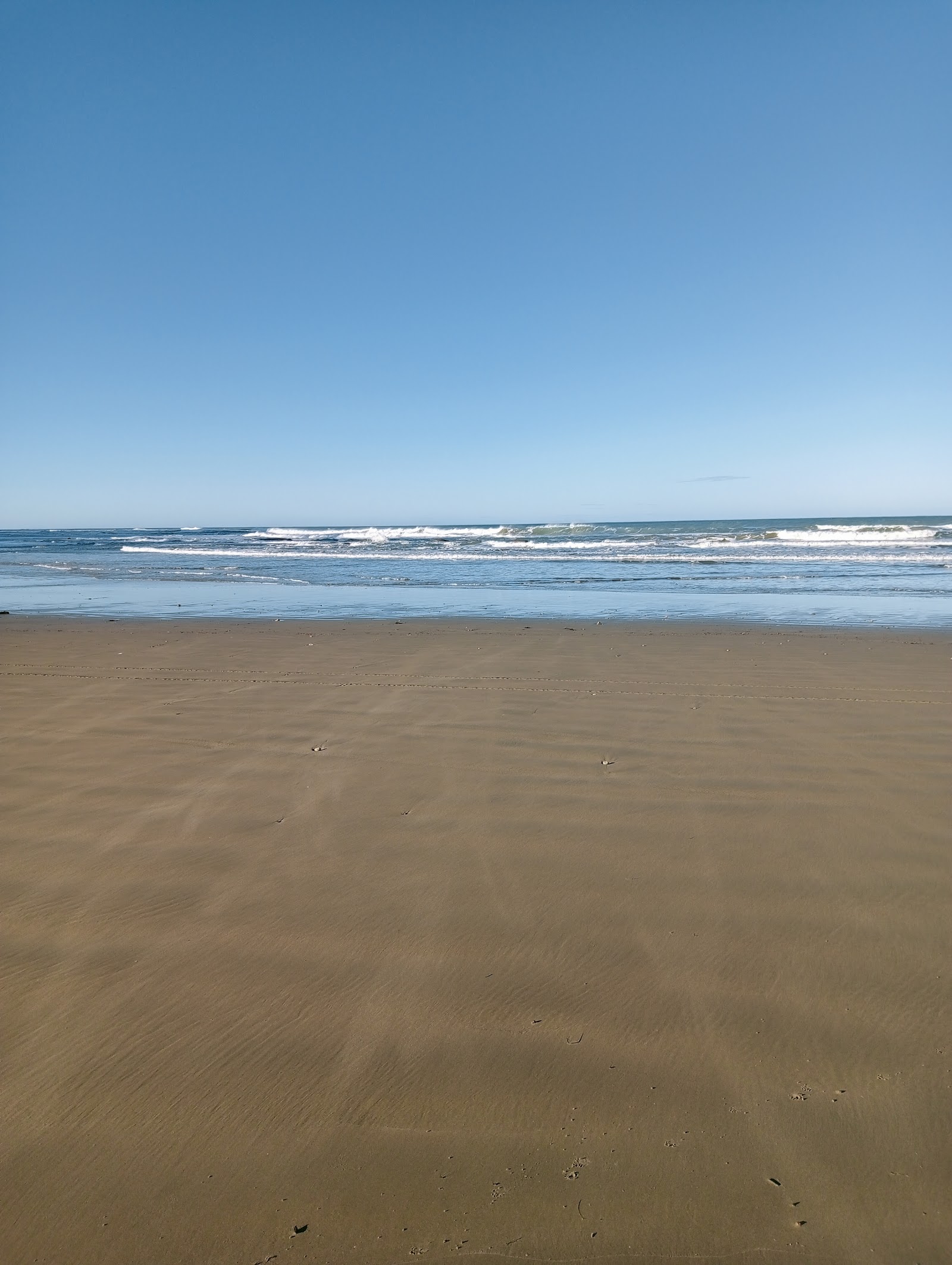 Blackhead Beach Camping Ground 2