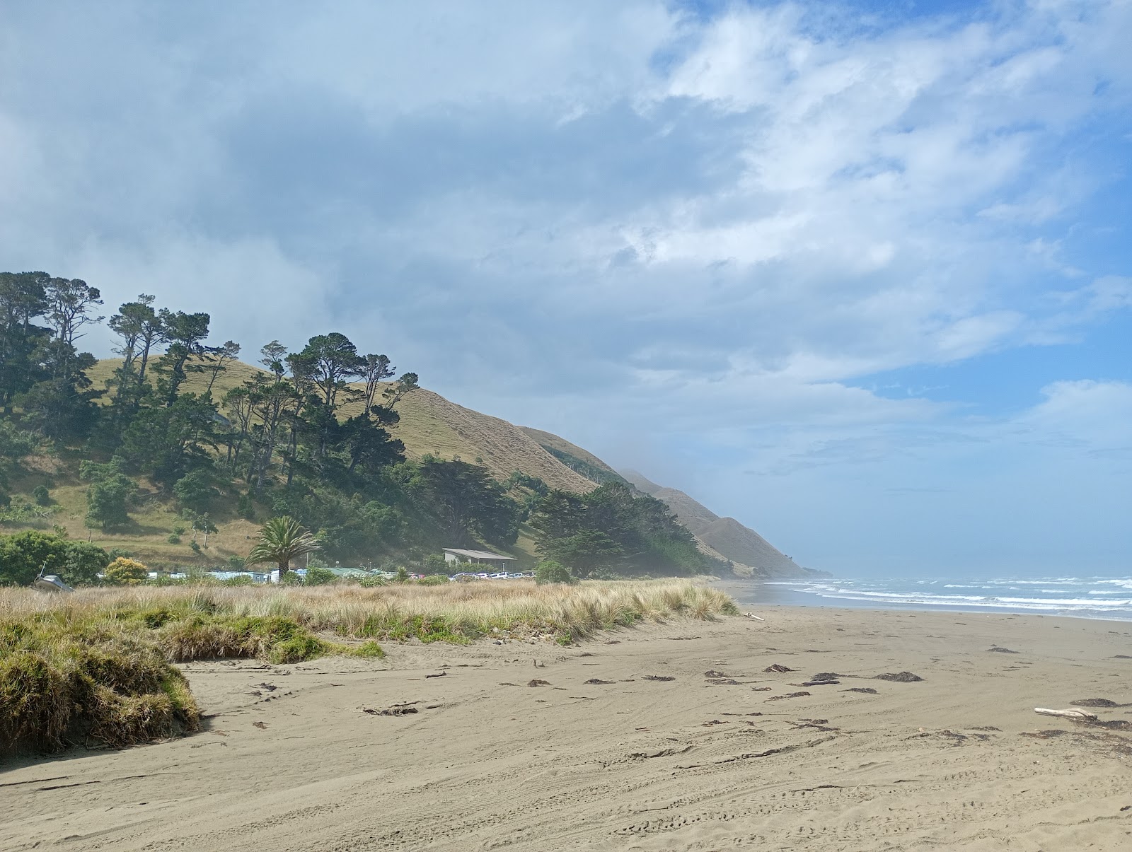 Blackhead Beach Camping Ground 3