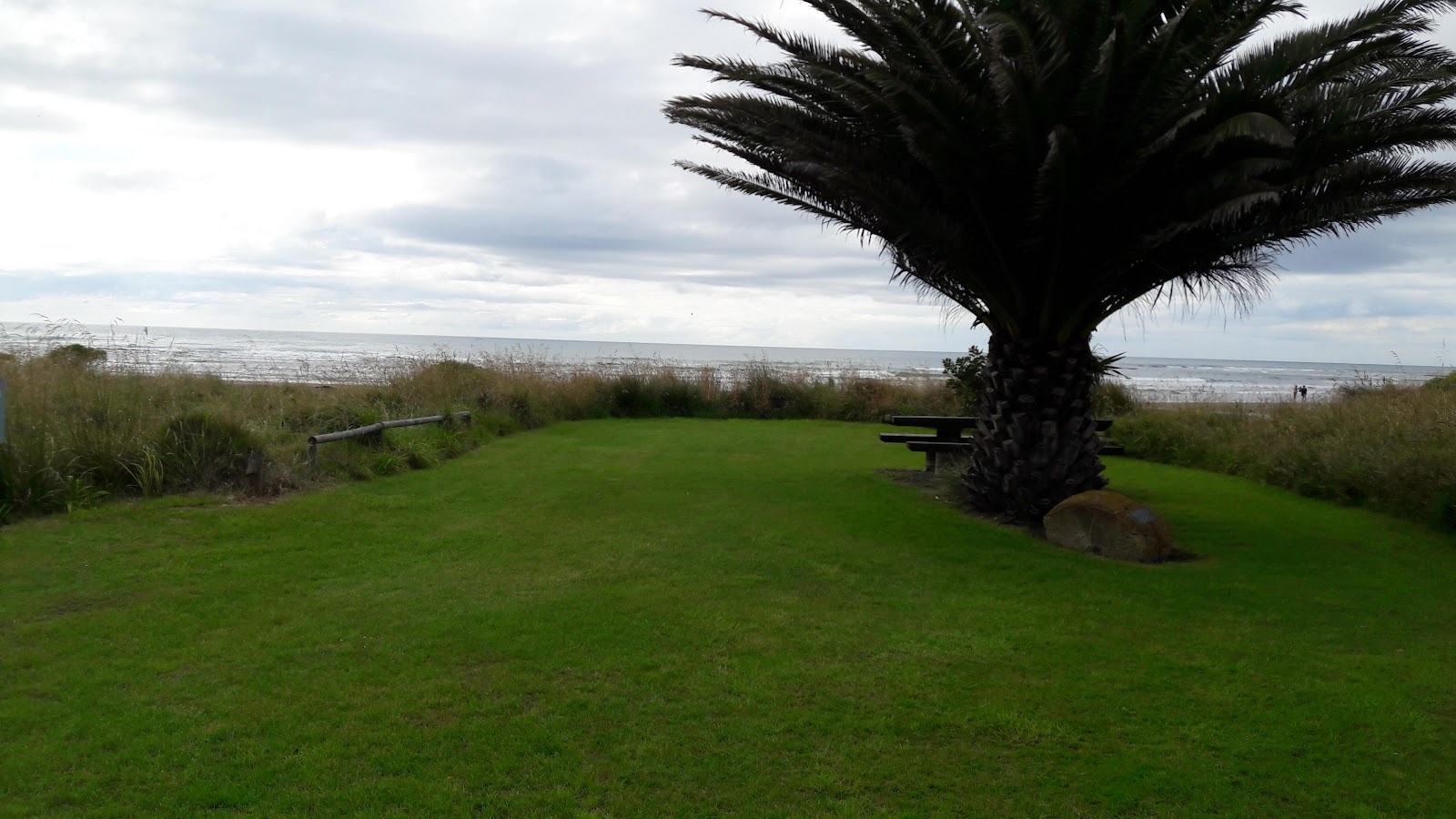 Blackhead Beach Camping Ground 6