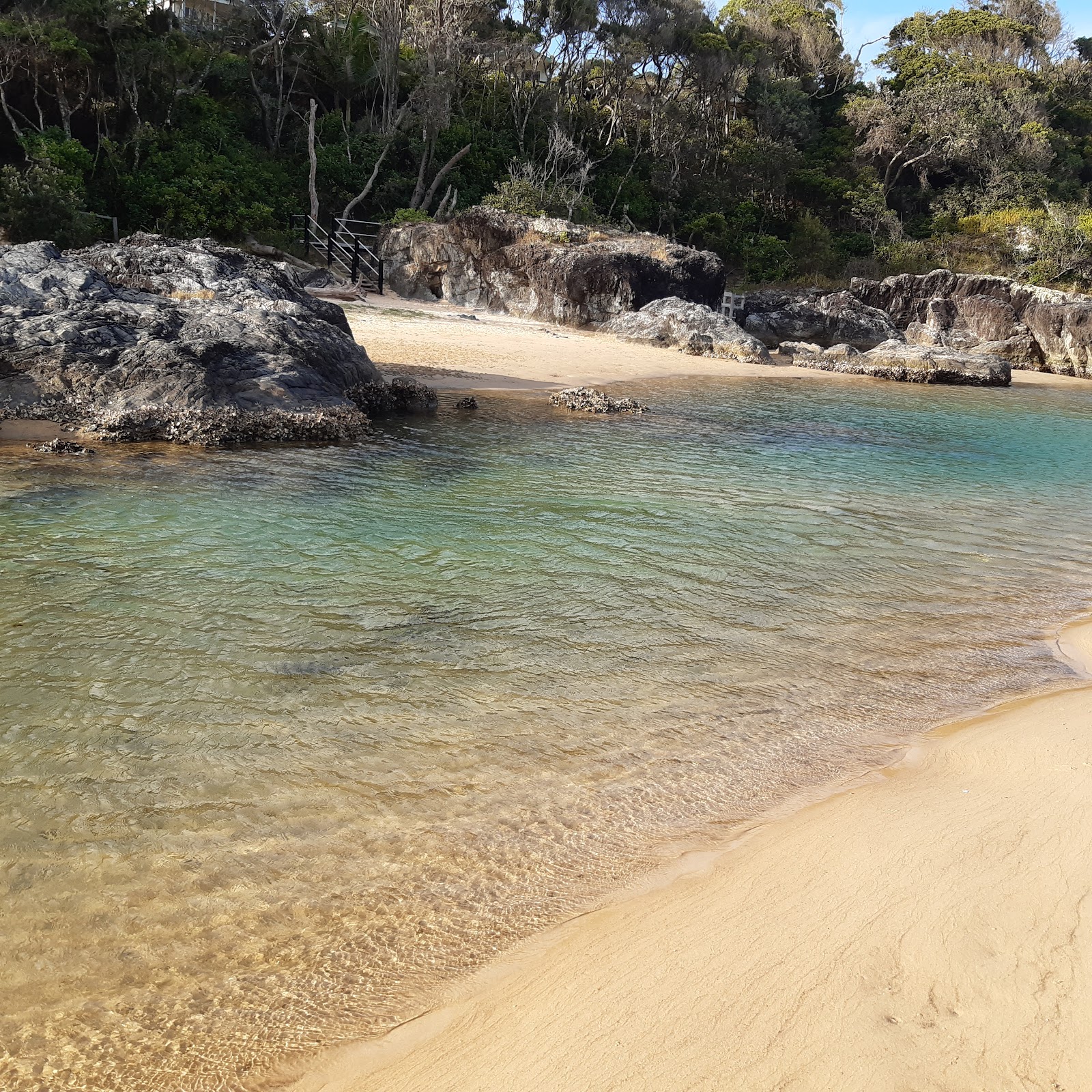 Boambee Palms Holiday and Accommodation Park 7