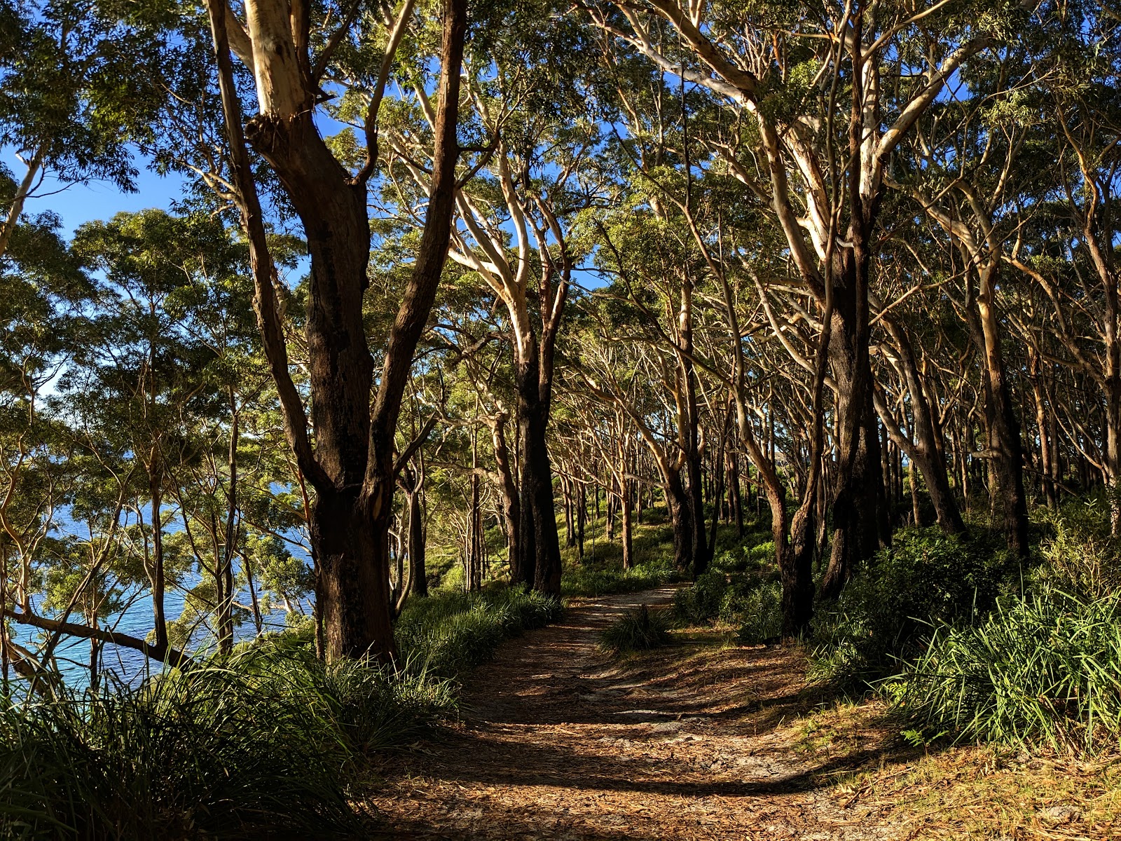 Booderee National Park 4