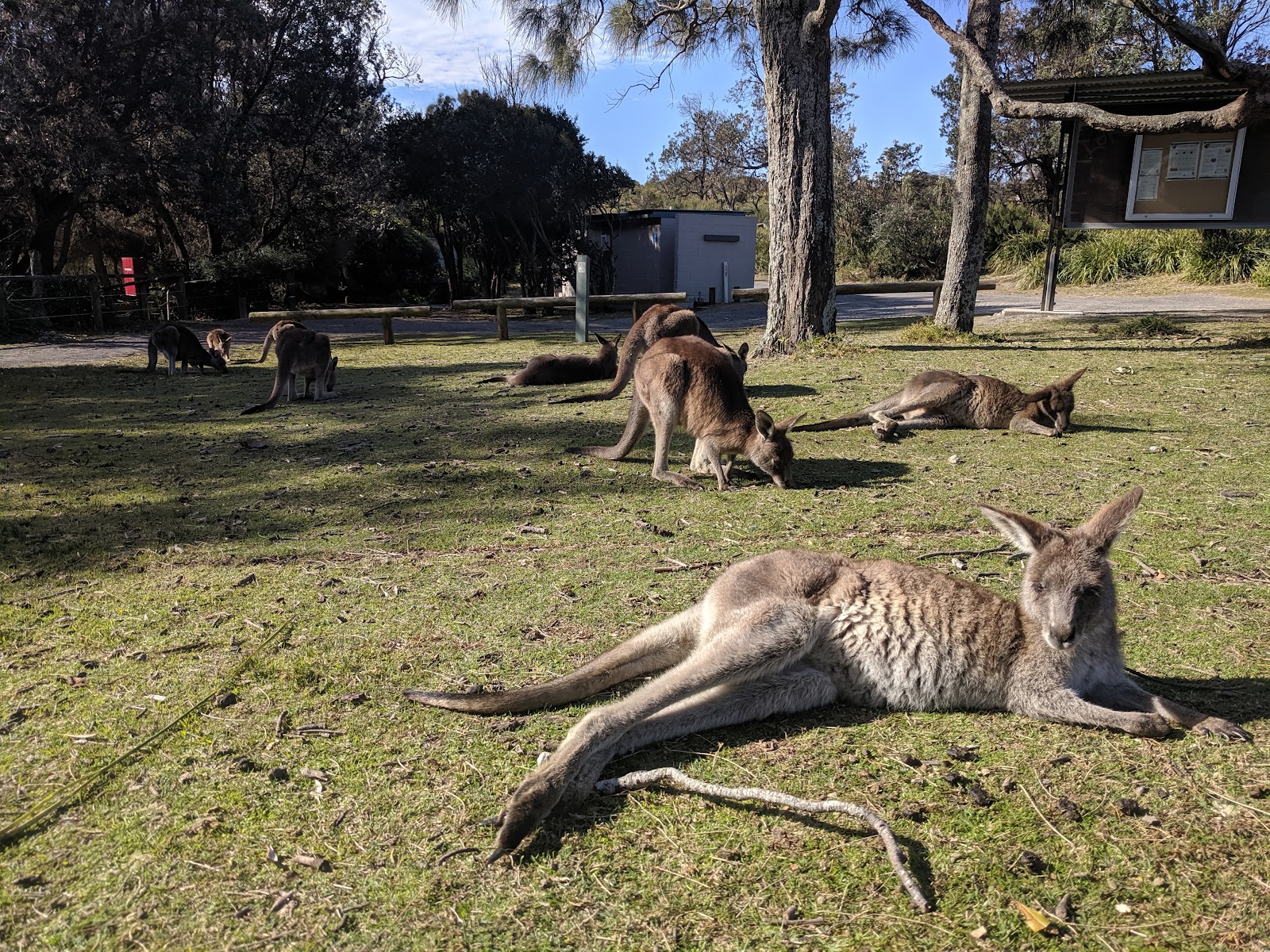 Booderee National Park 9