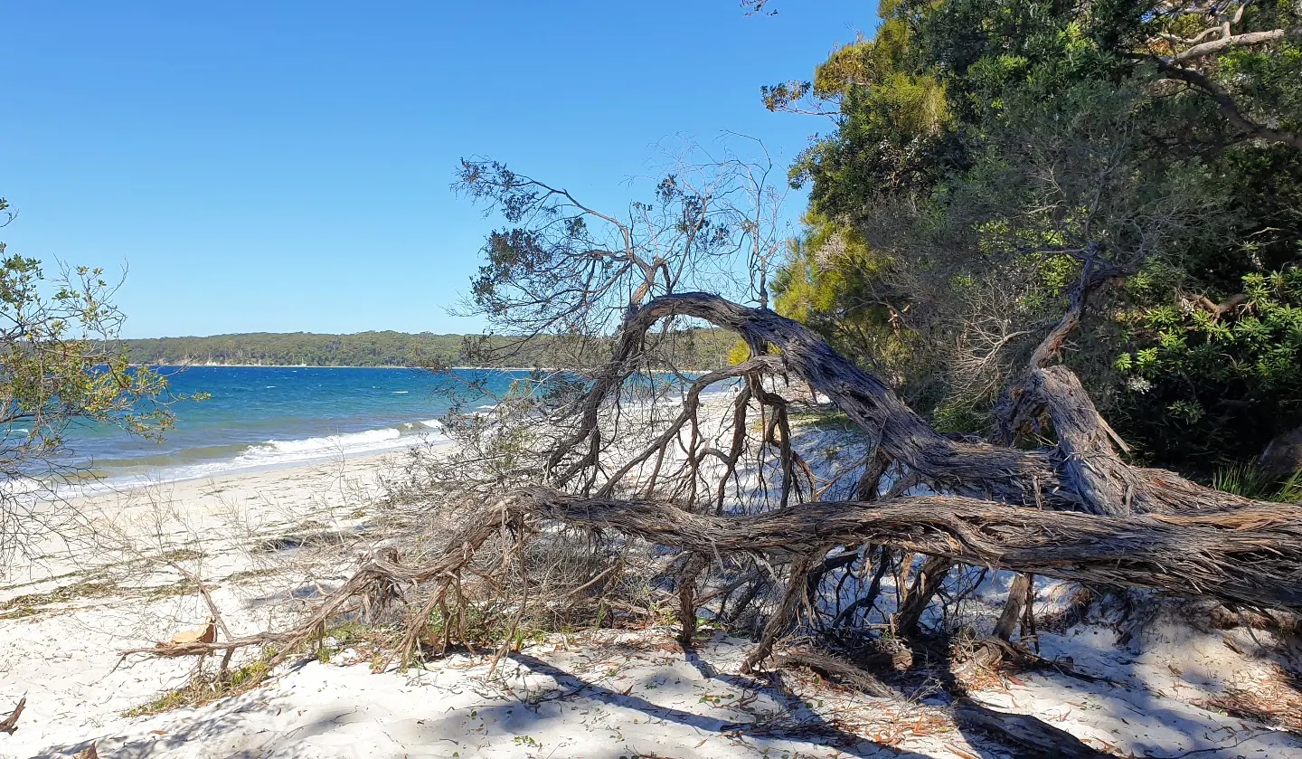 Bristol Point Camping Ground 5