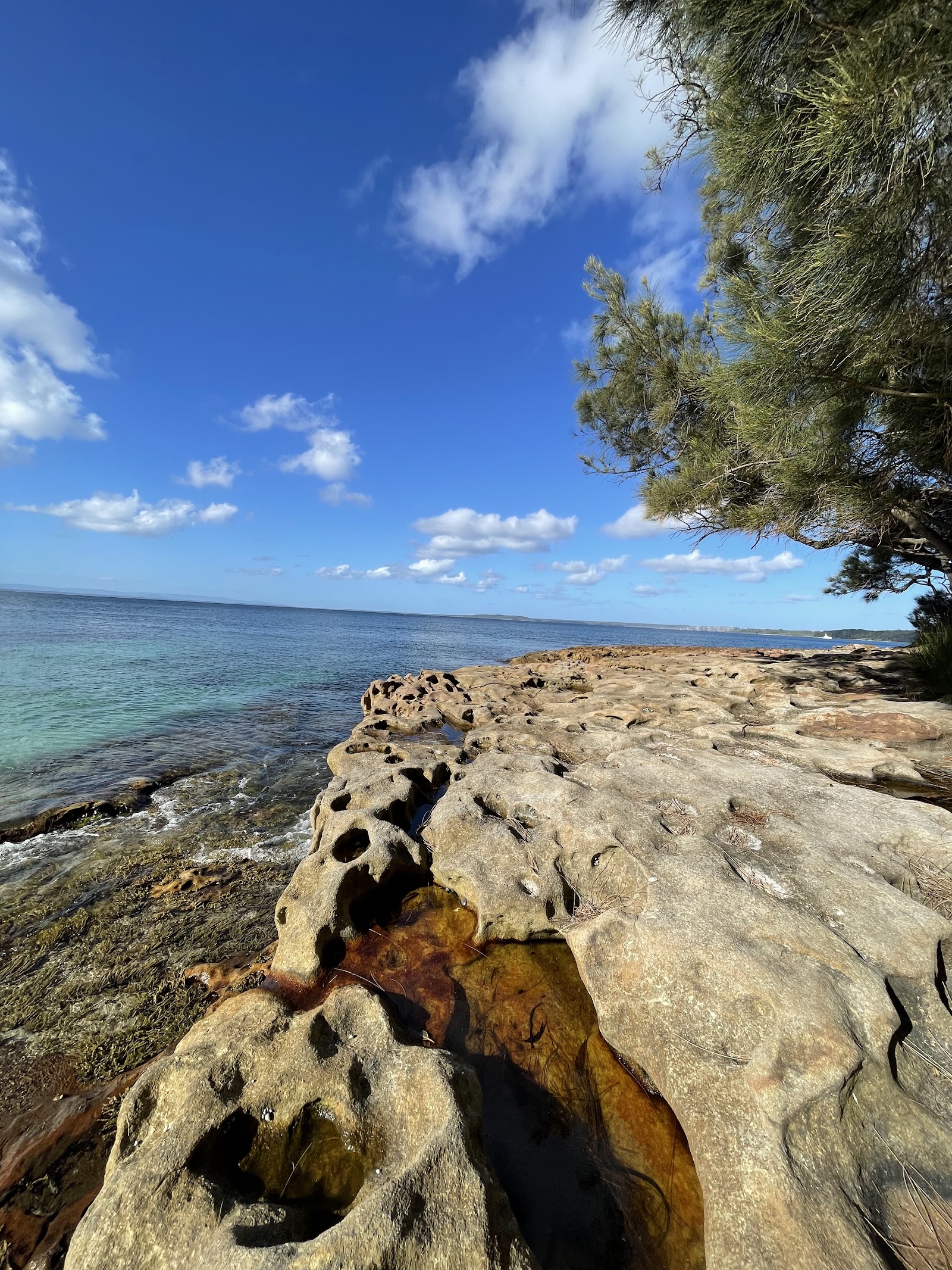 Bristol Point Camping Ground 9