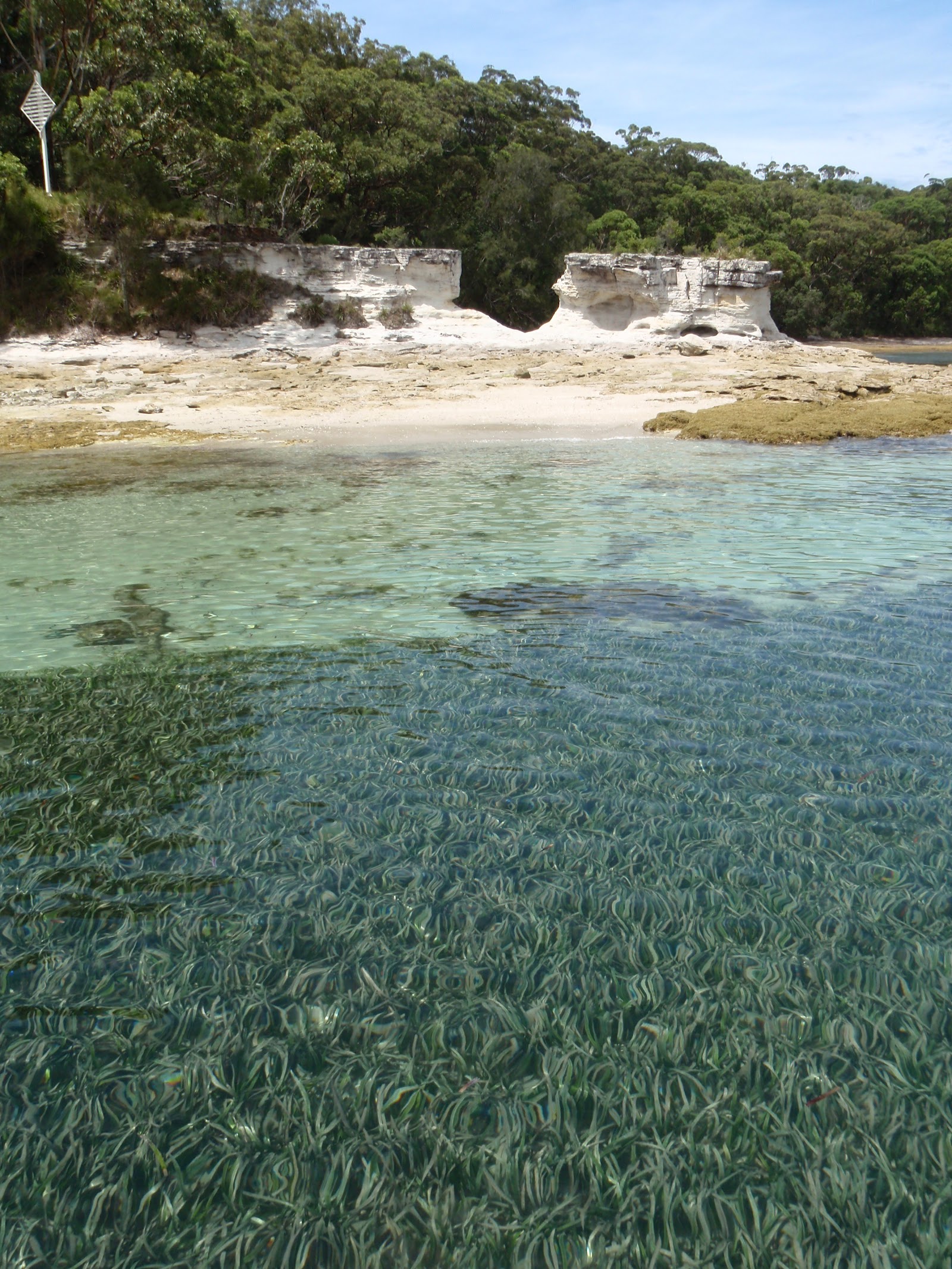 Bristol Point Camping Ground 10