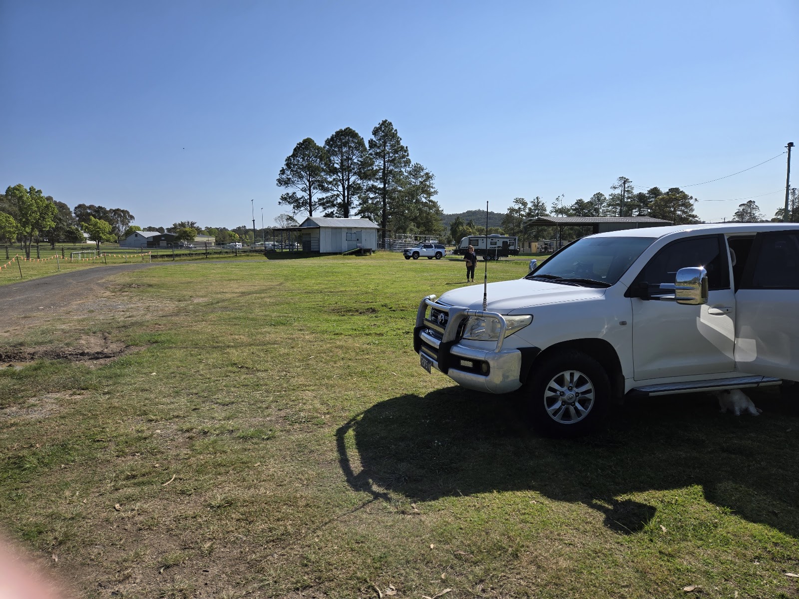 Bulahdelah Showground 8