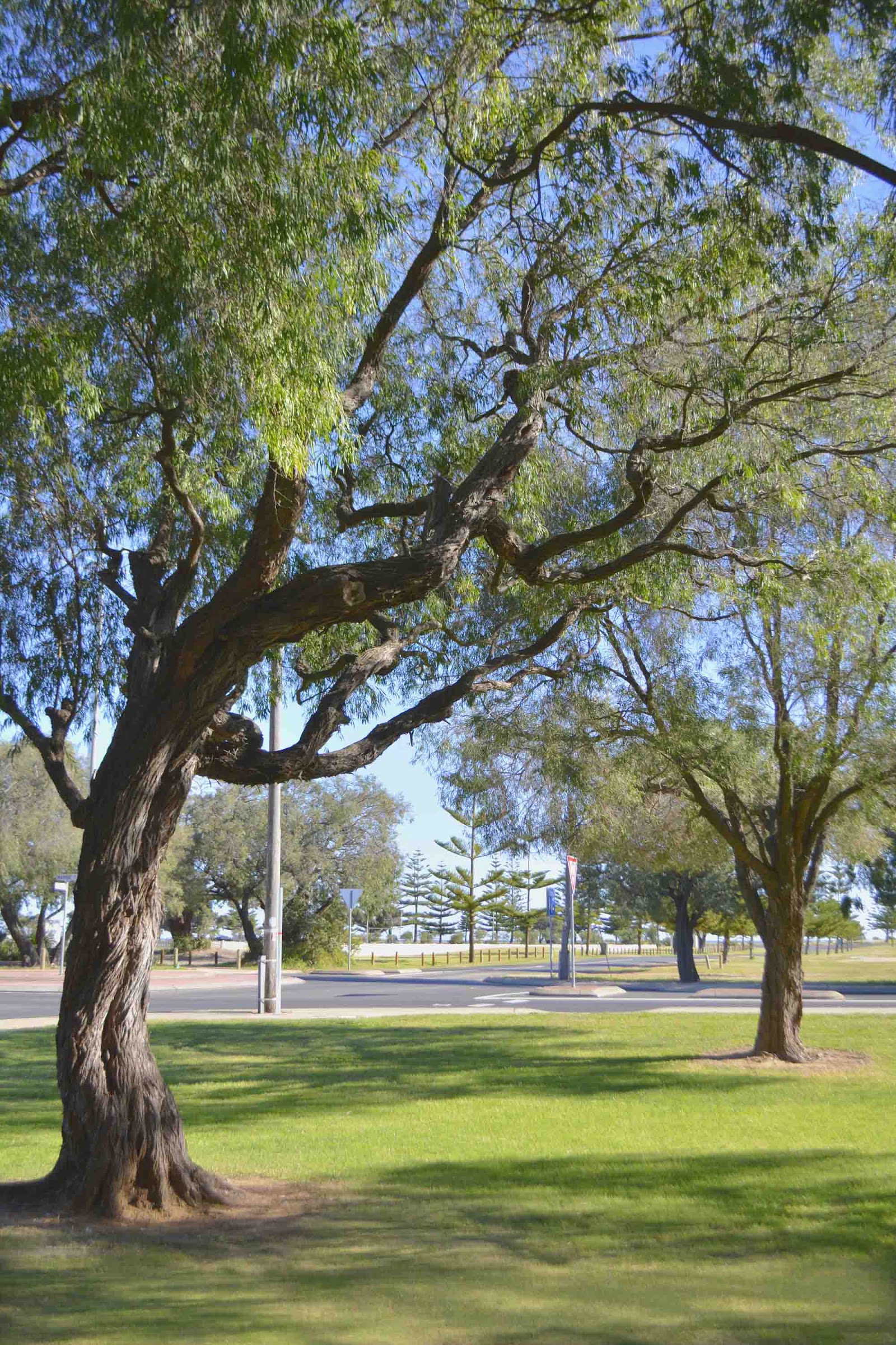 Busselton Jetty Tourist Park 5