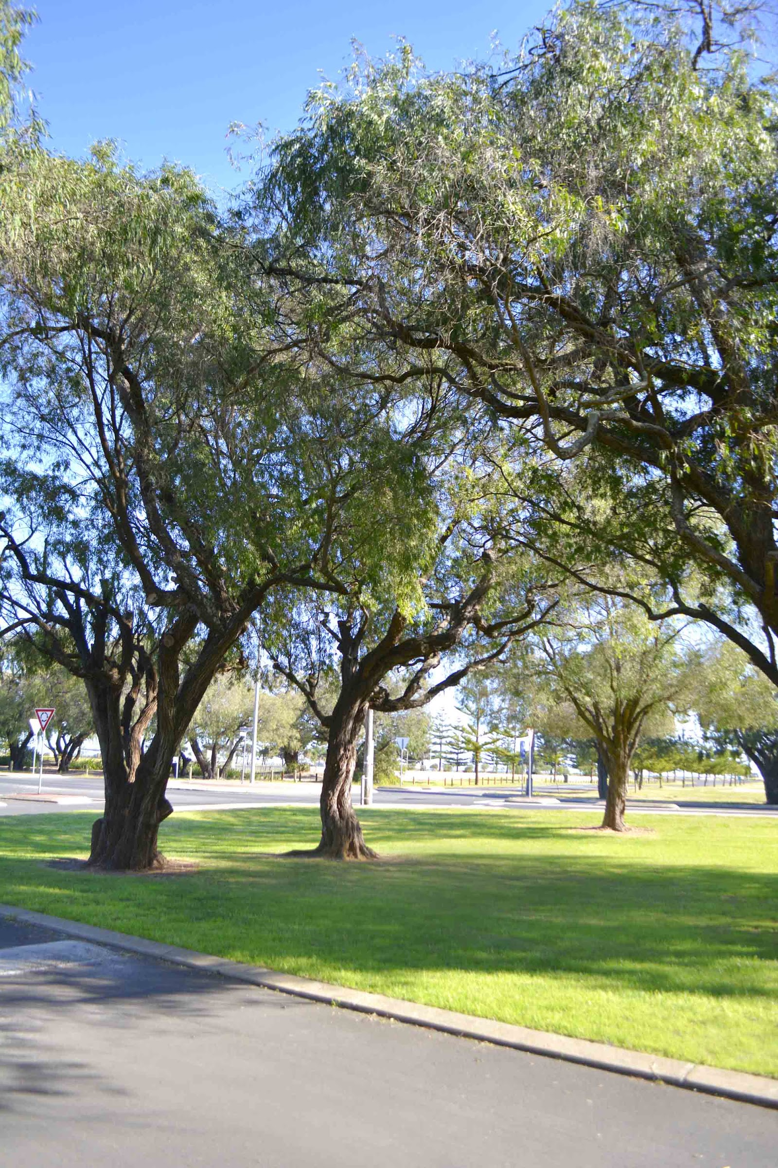 Busselton Jetty Tourist Park 6