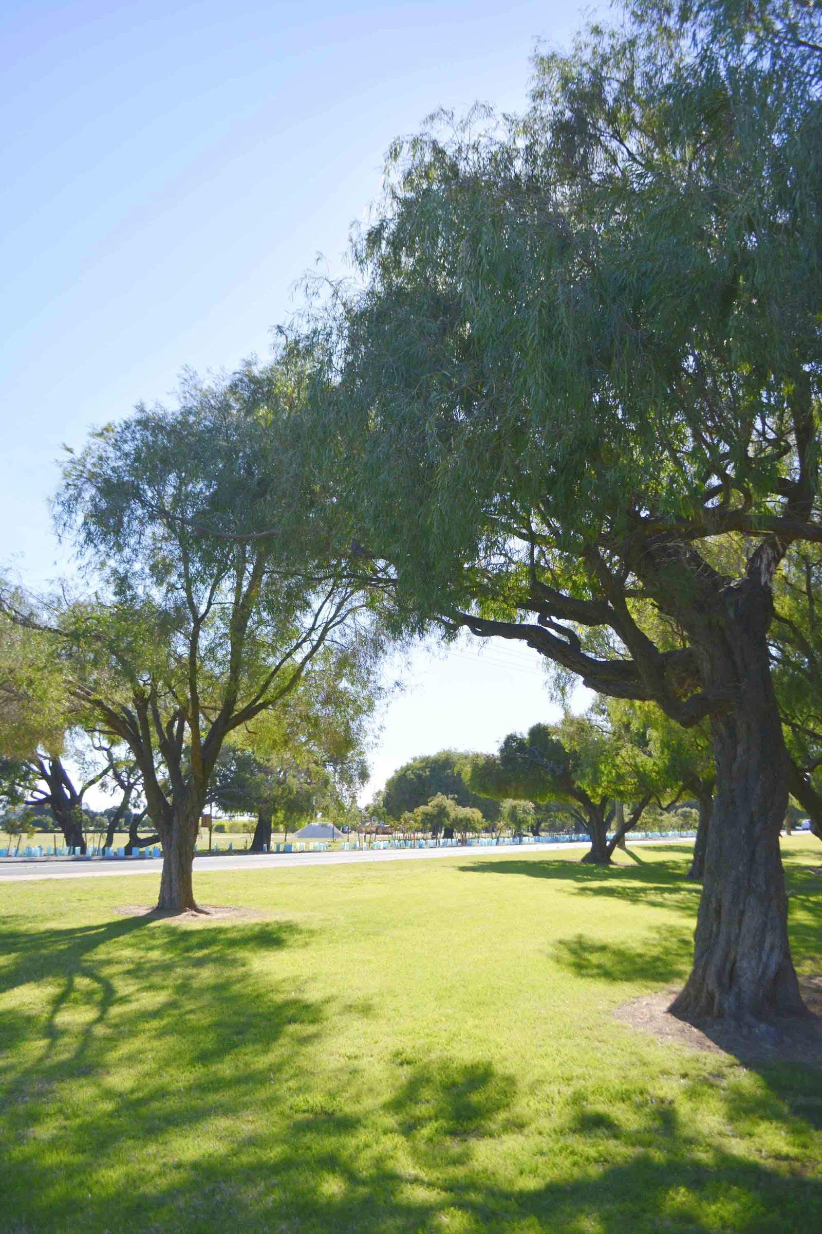 Busselton Jetty Tourist Park 7