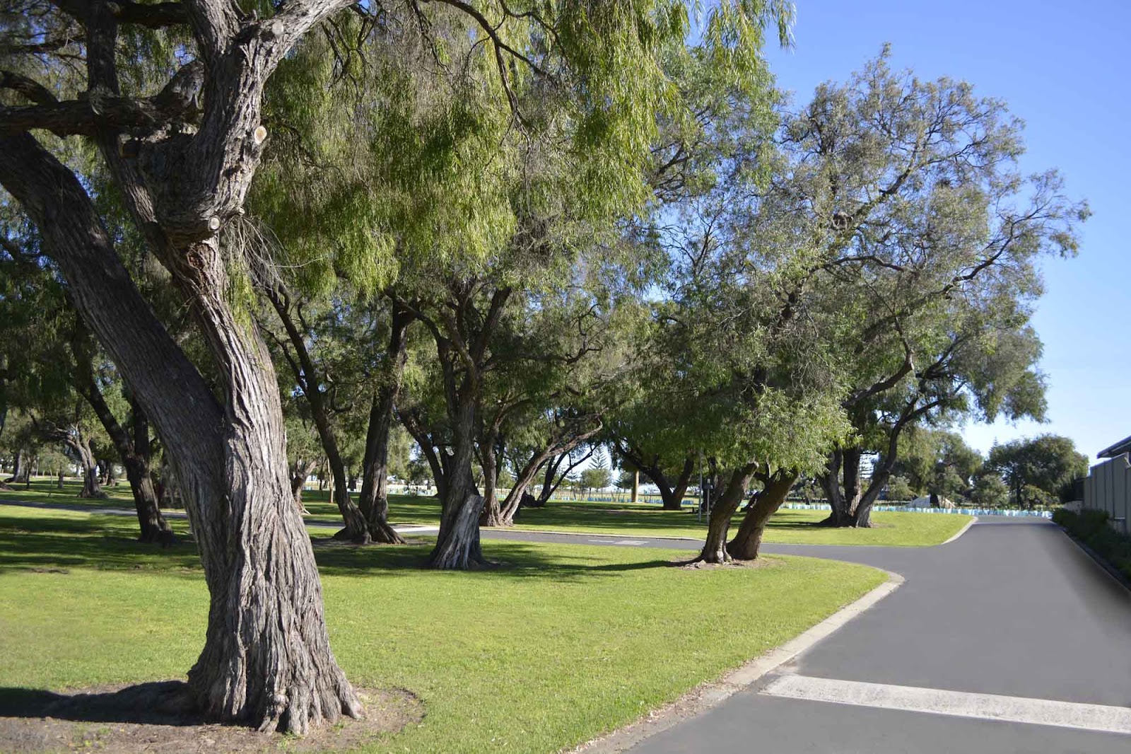 Busselton Jetty Tourist Park 9