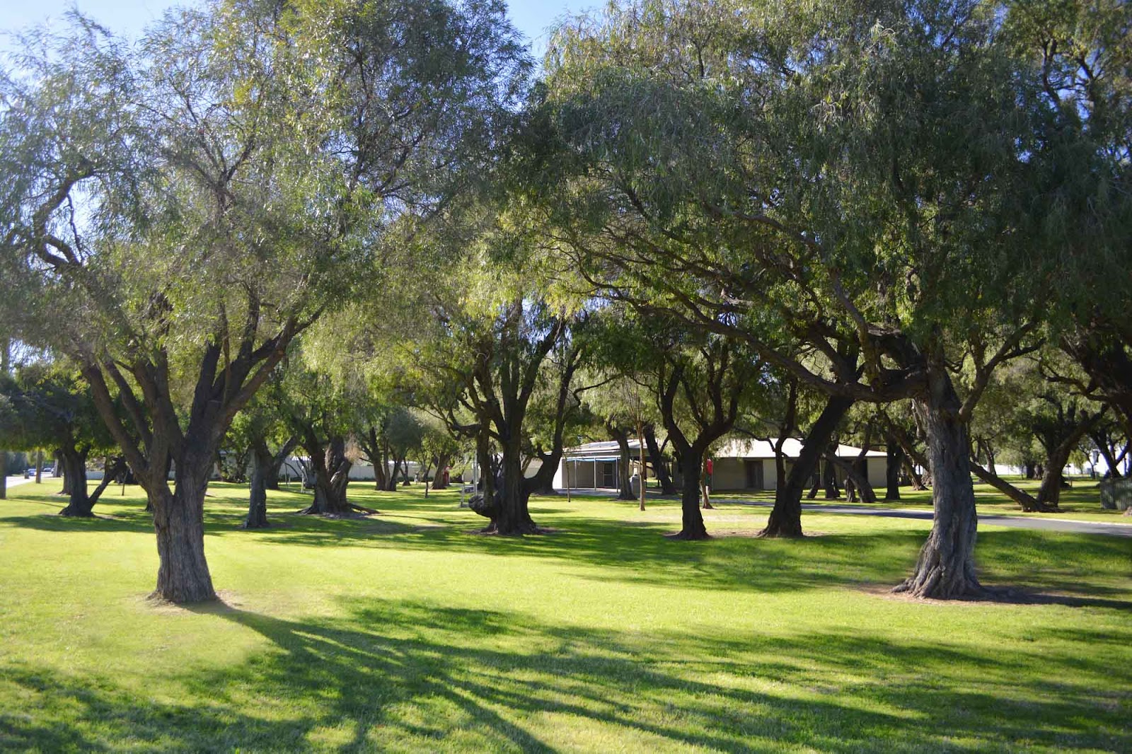 Busselton Jetty Tourist Park 10