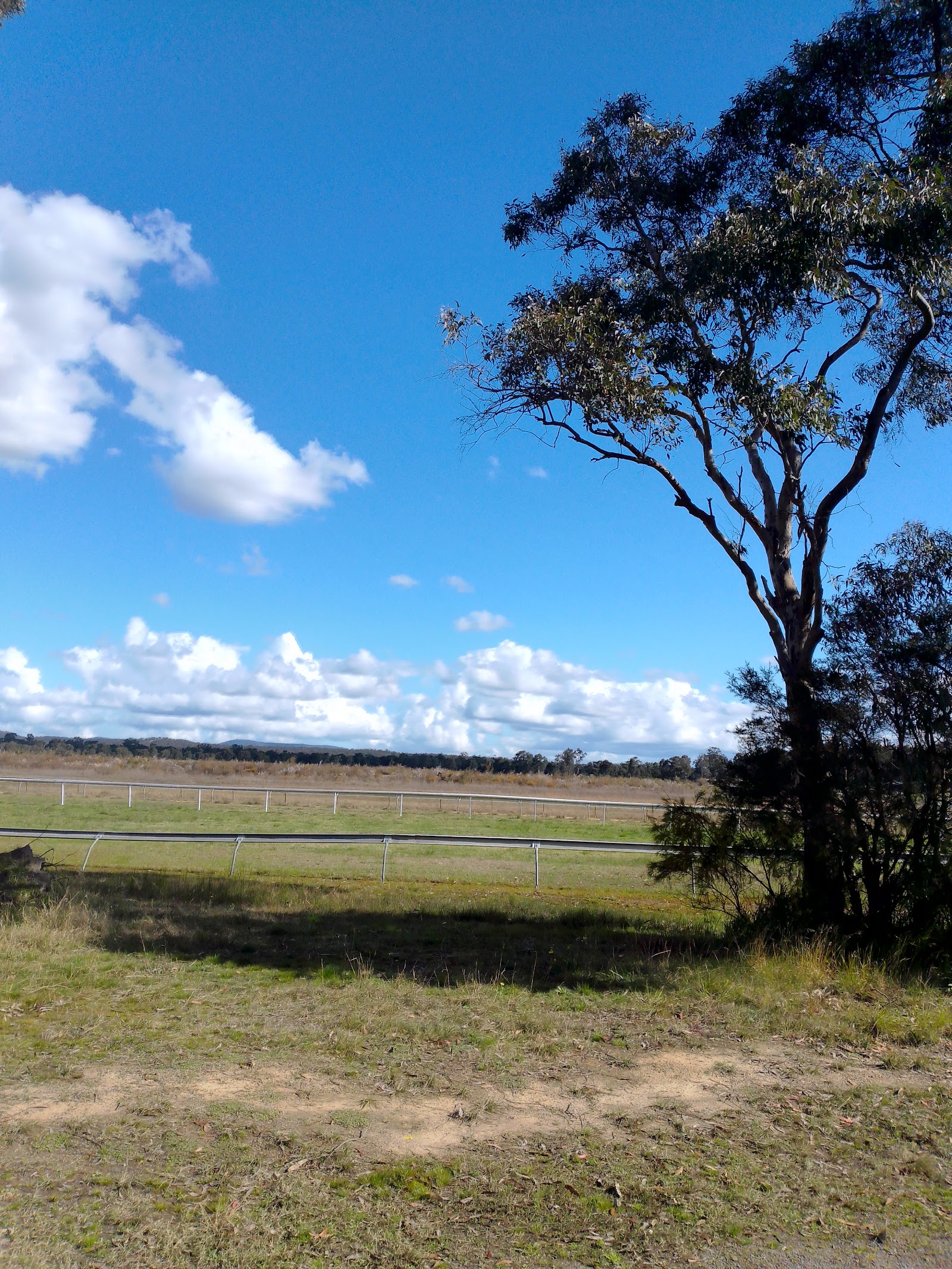 Cessnock Racecourse 5