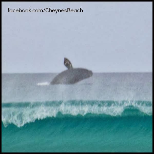 Cheynes Beach Caravan Park 9