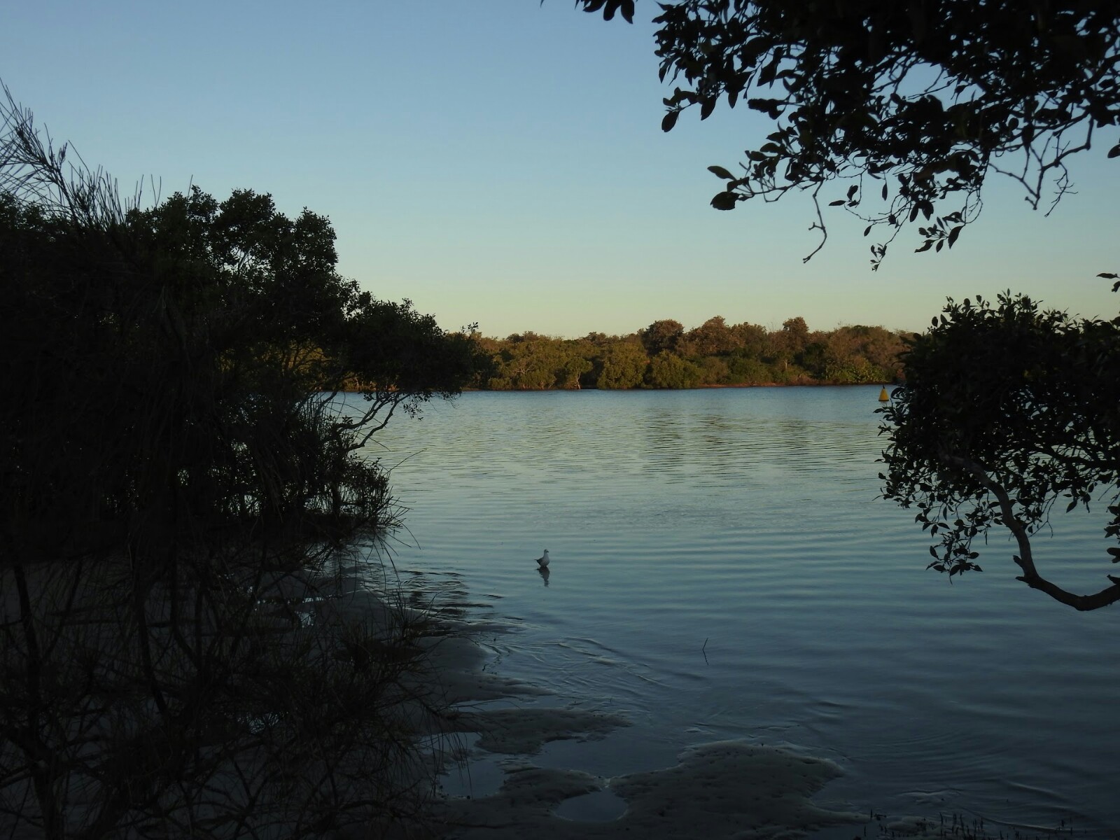 Chinderah Village Tourist Caravan Park 9