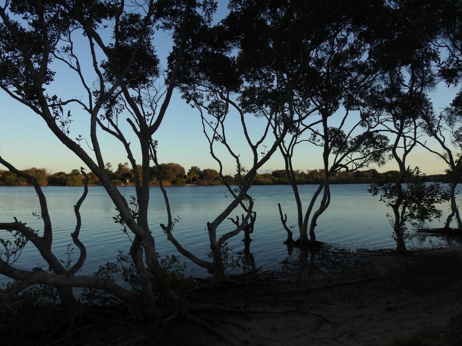 Chinderah Village Tourist Caravan Park 10