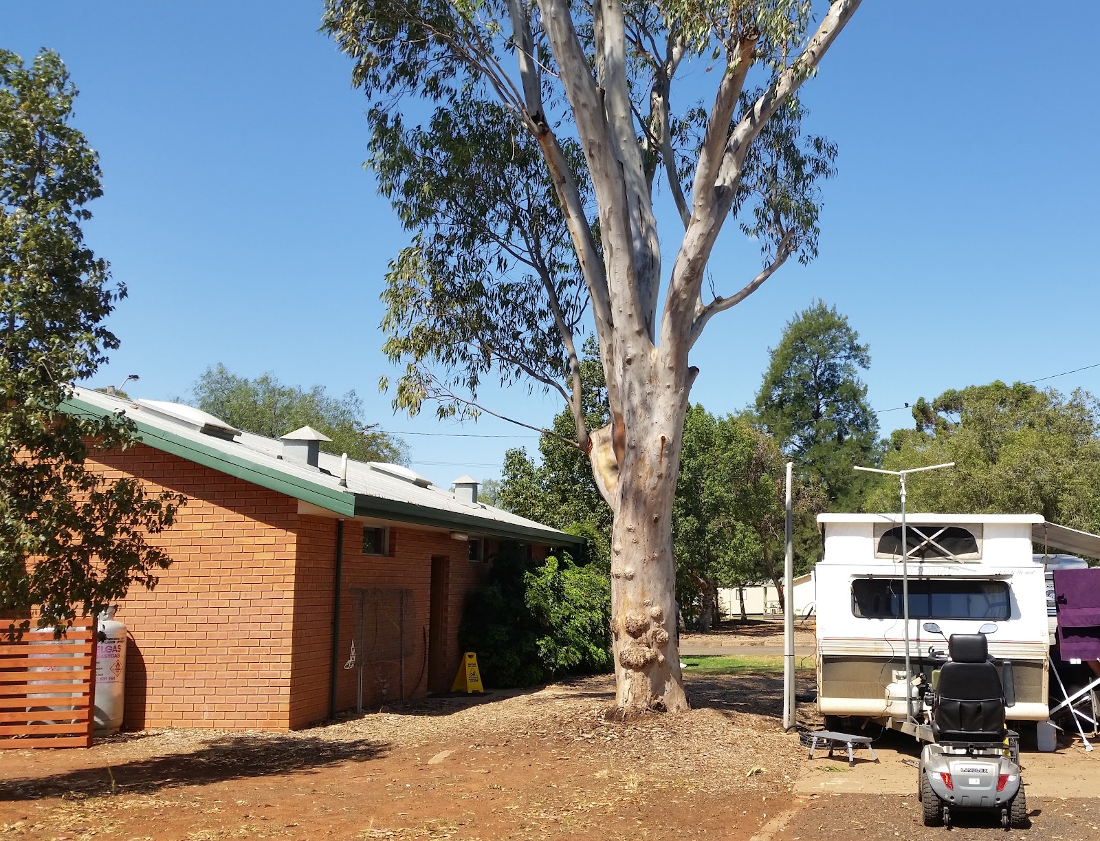 Cobar Caravan Park 5