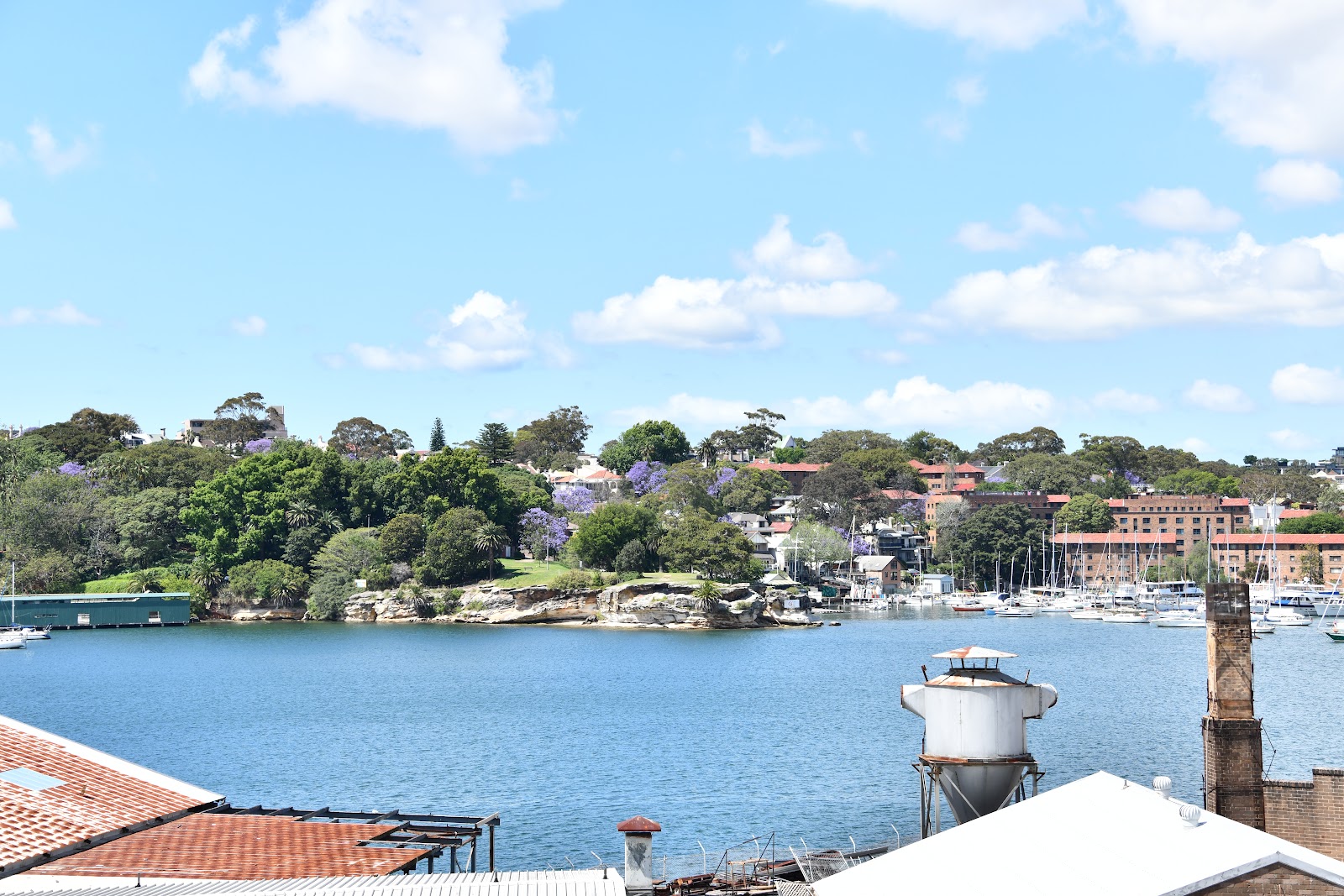Cockatoo Island Waterfront Campground 3
