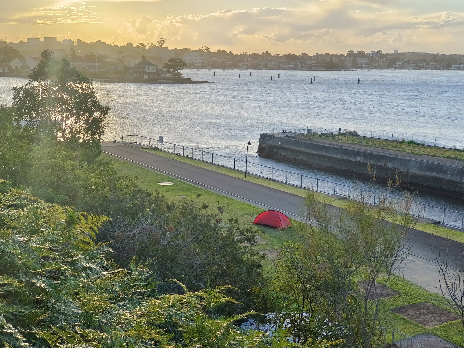 Cockatoo Island Waterfront Campground 10