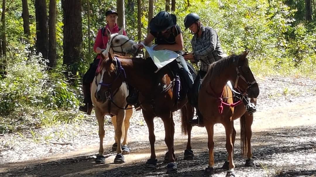 Coffs Harbour Camping & Farmstay 4