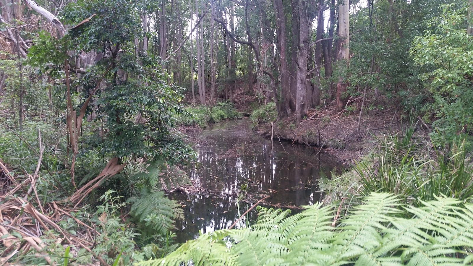 Coffs Harbour Camping & Farmstay 6