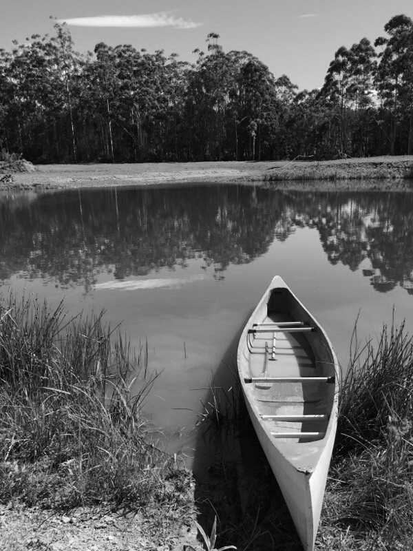Coffs Harbour Camping & Farmstay 8