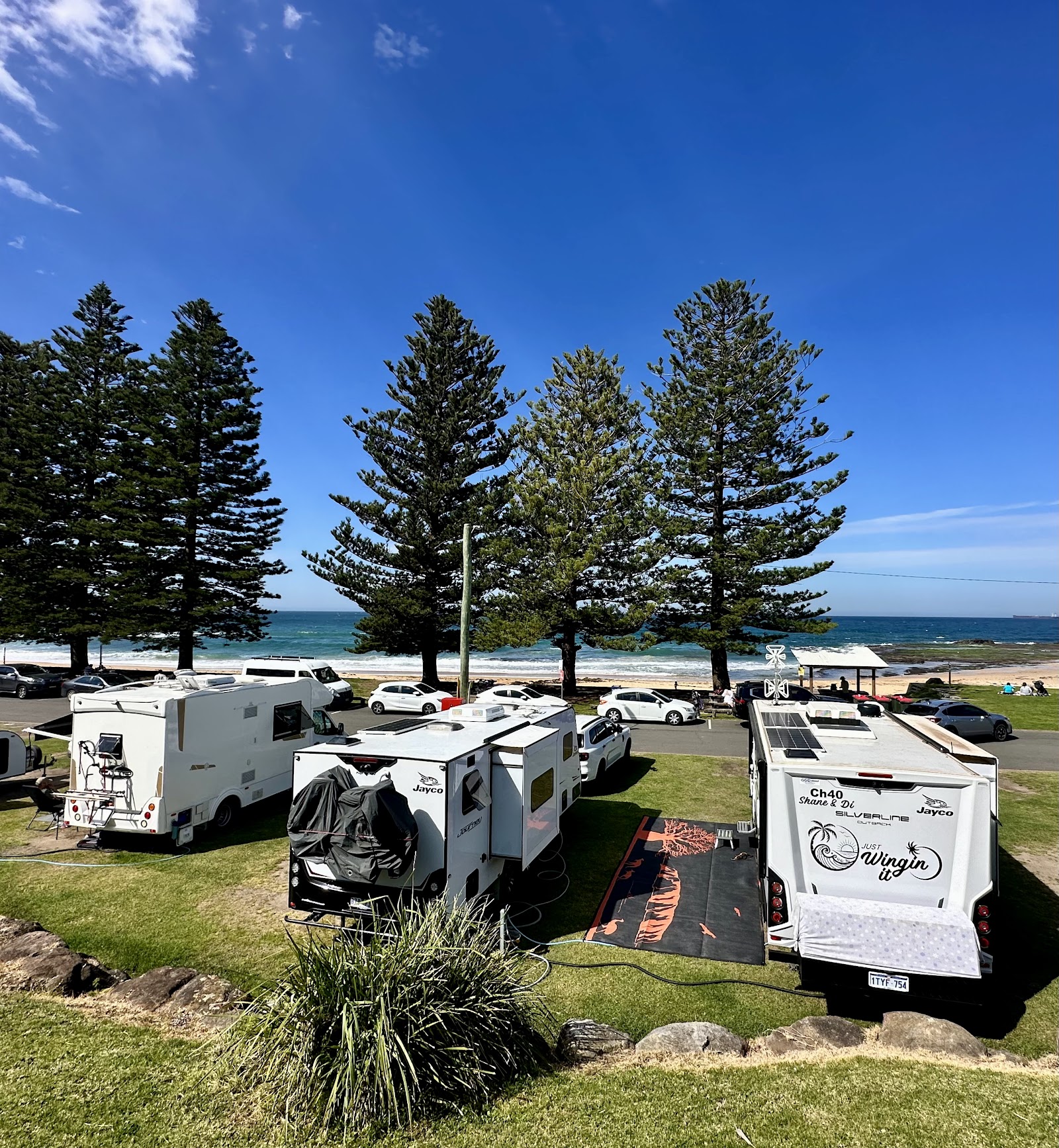 Coledale Camping Reserve 8