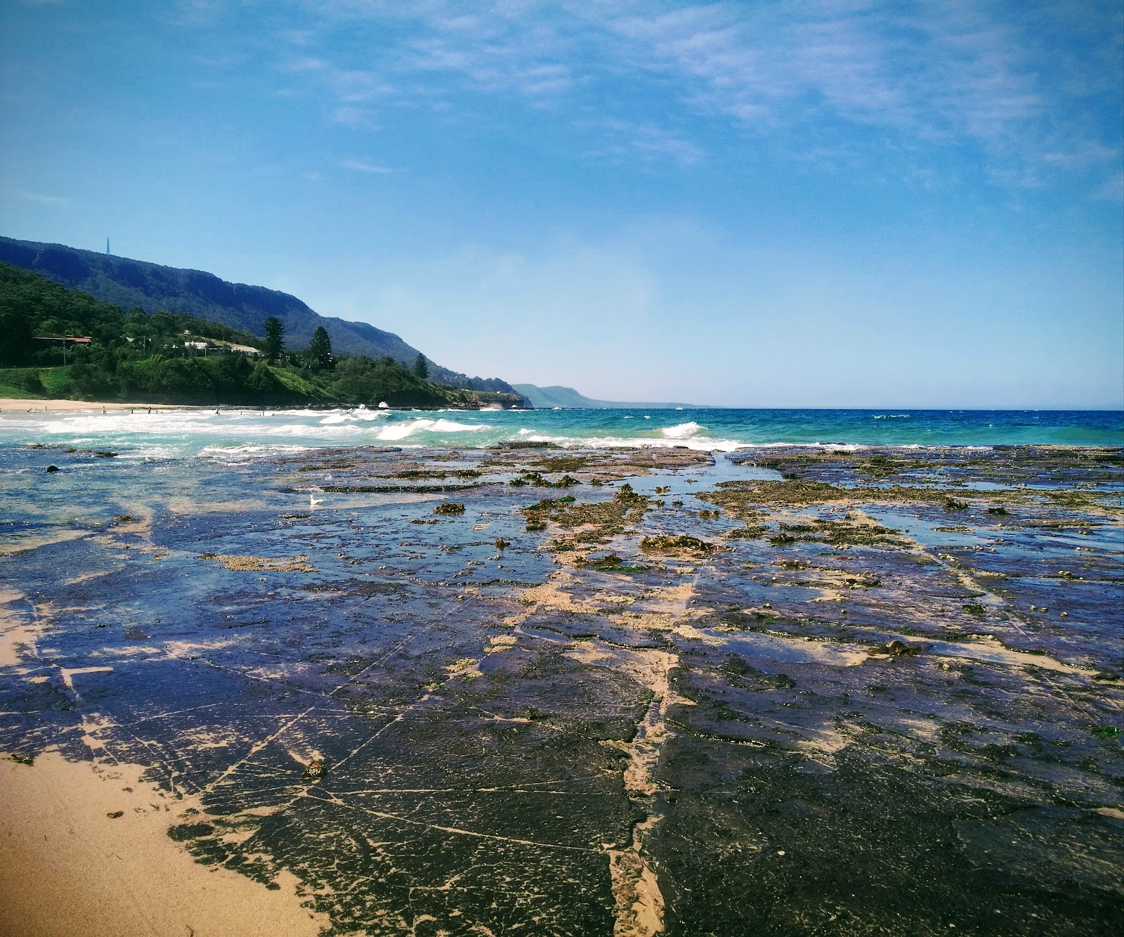 Coledale Camping Reserve 9