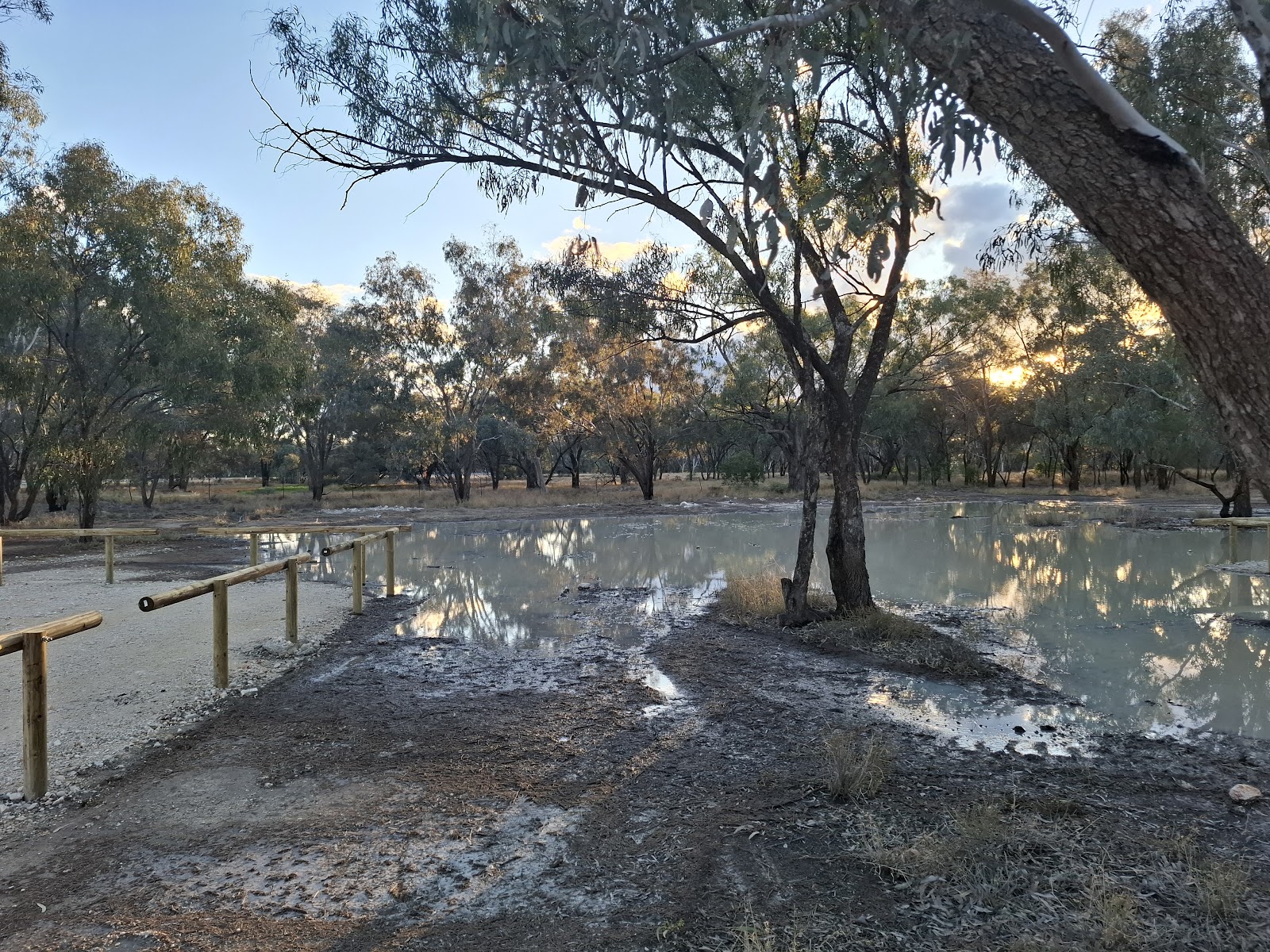 Collarenabri Showground 2